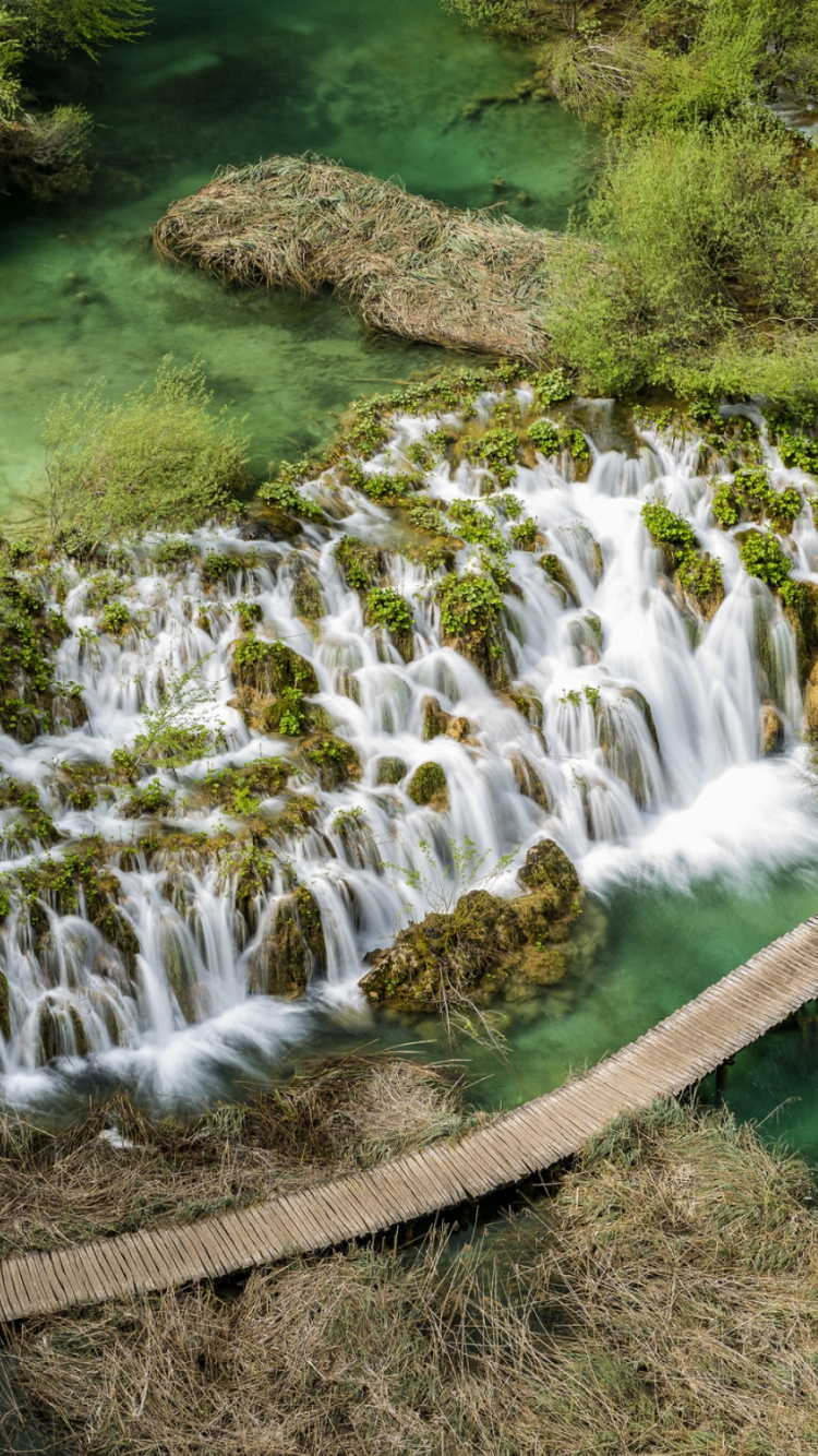El Agua Cae Sobre el Campo de Hierba Verde Durante el Día. Wallpaper in 750x1334 Resolution