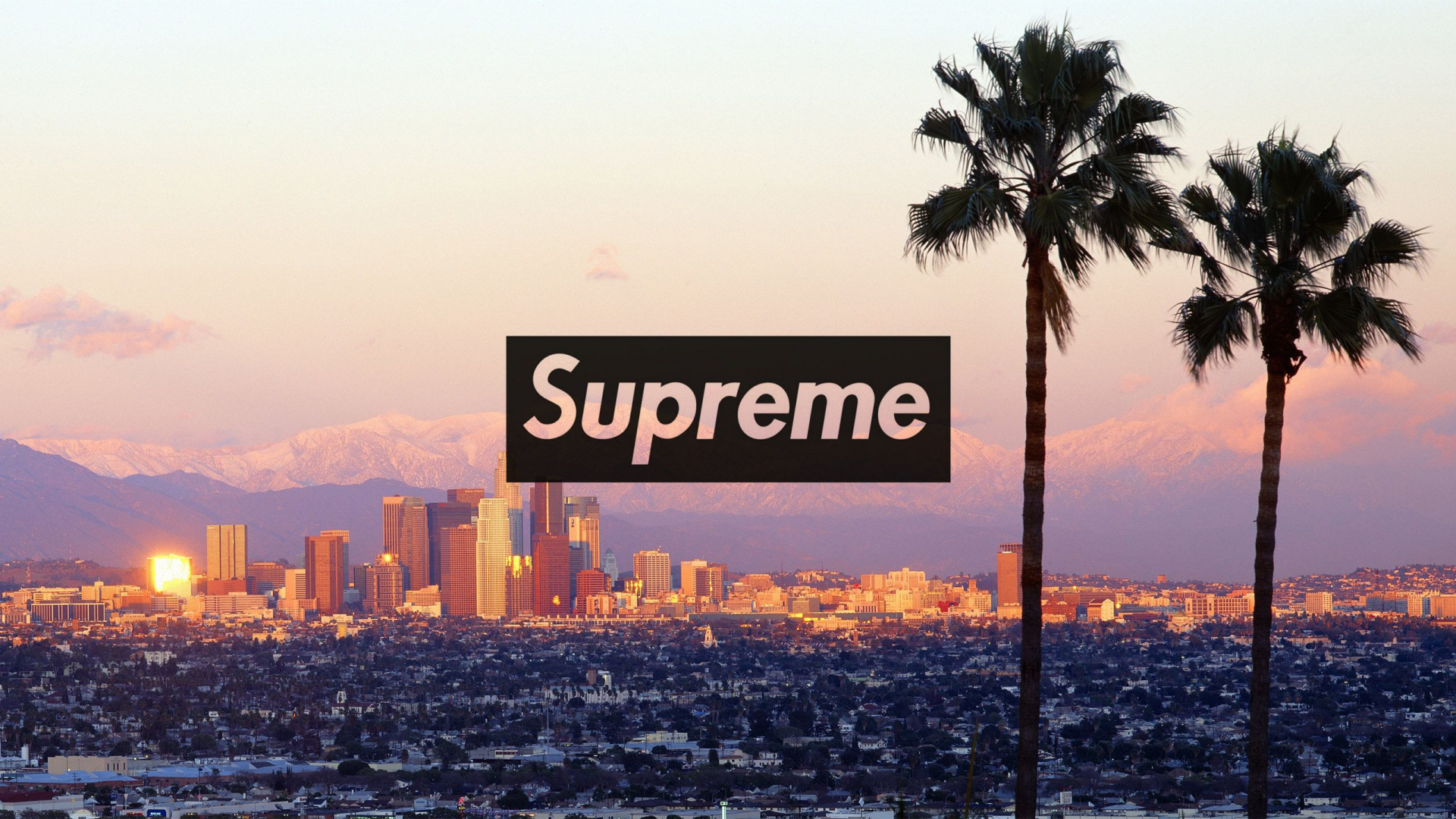 Supreme, City, Horizon, Skyline, Tree. Wallpaper in 1920x1080 Resolution