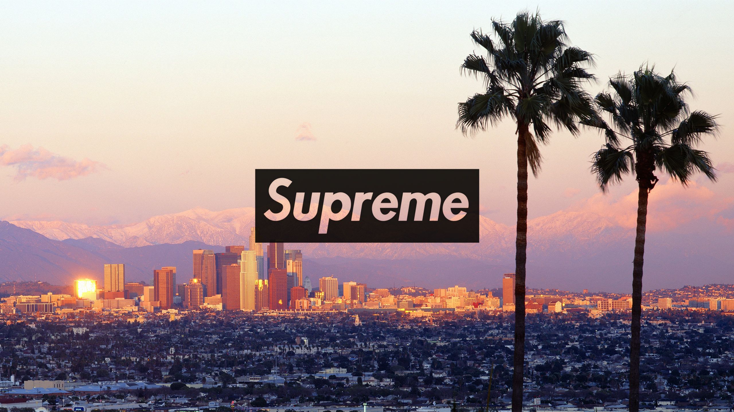 Supreme, City, Horizon, Skyline, Tree. Wallpaper in 2560x1440 Resolution