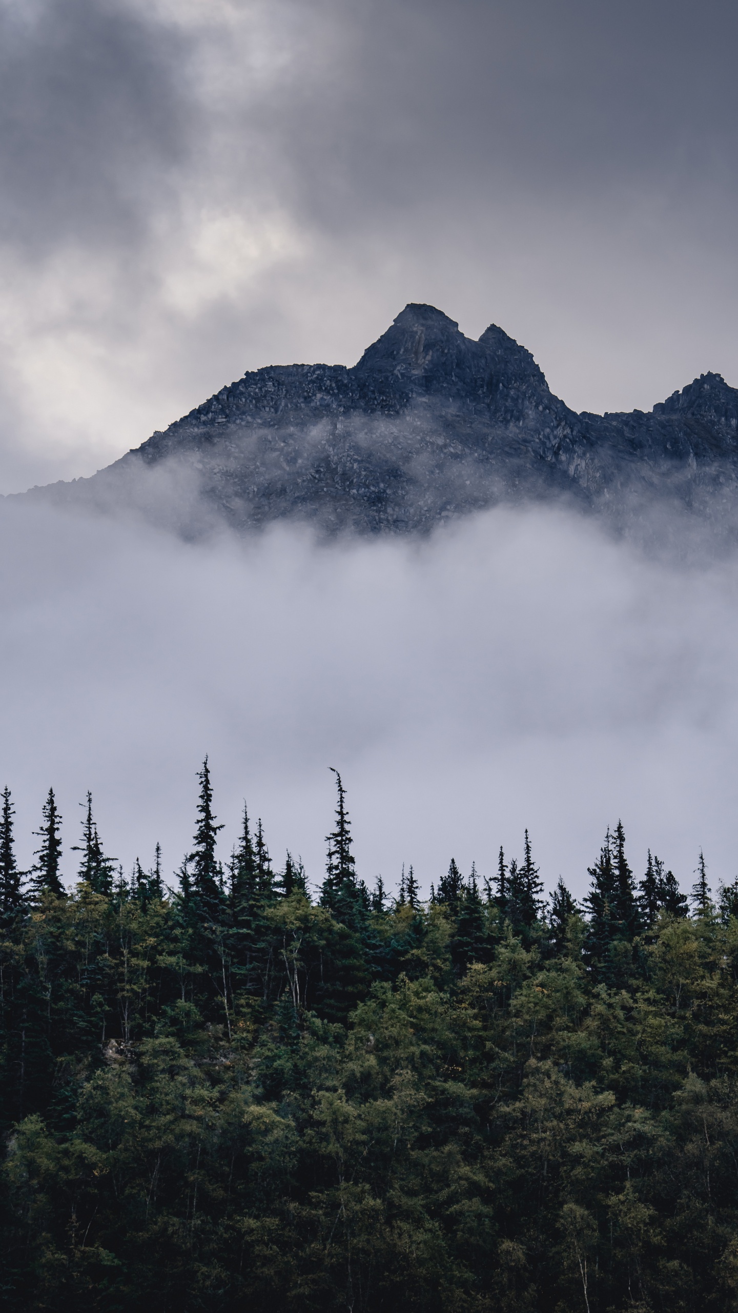 Mountain, Mountainous Landforms, Spruce Fir Forests, Mount Scenery, Wilderness. Wallpaper in 1440x2560 Resolution