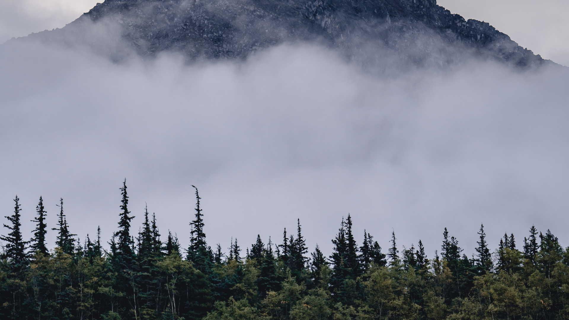 Mountain, Mountainous Landforms, Spruce Fir Forests, Mount Scenery, Wilderness. Wallpaper in 1920x1080 Resolution