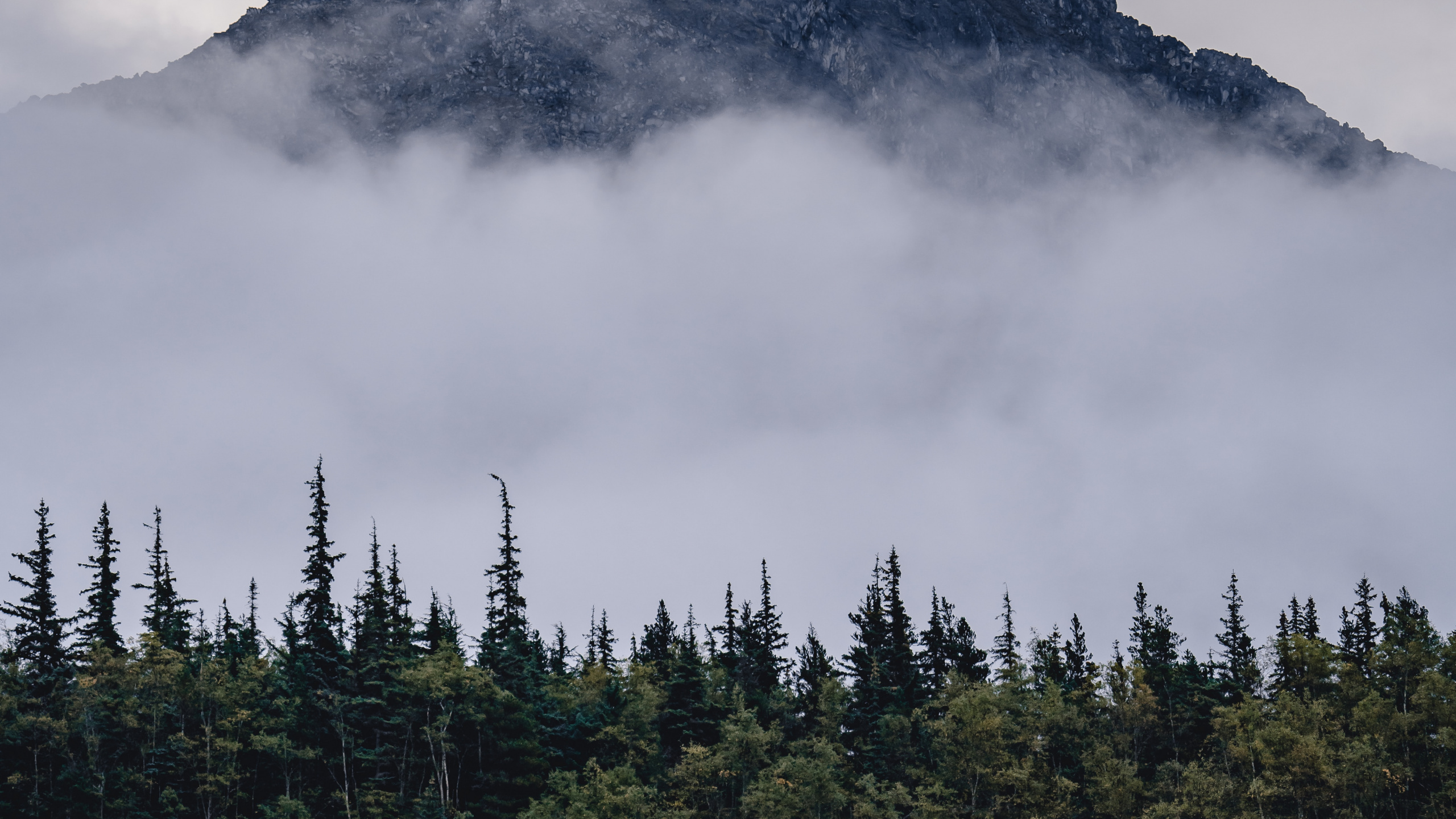 Mountain, Mountainous Landforms, Spruce Fir Forests, Mount Scenery, Wilderness. Wallpaper in 2560x1440 Resolution