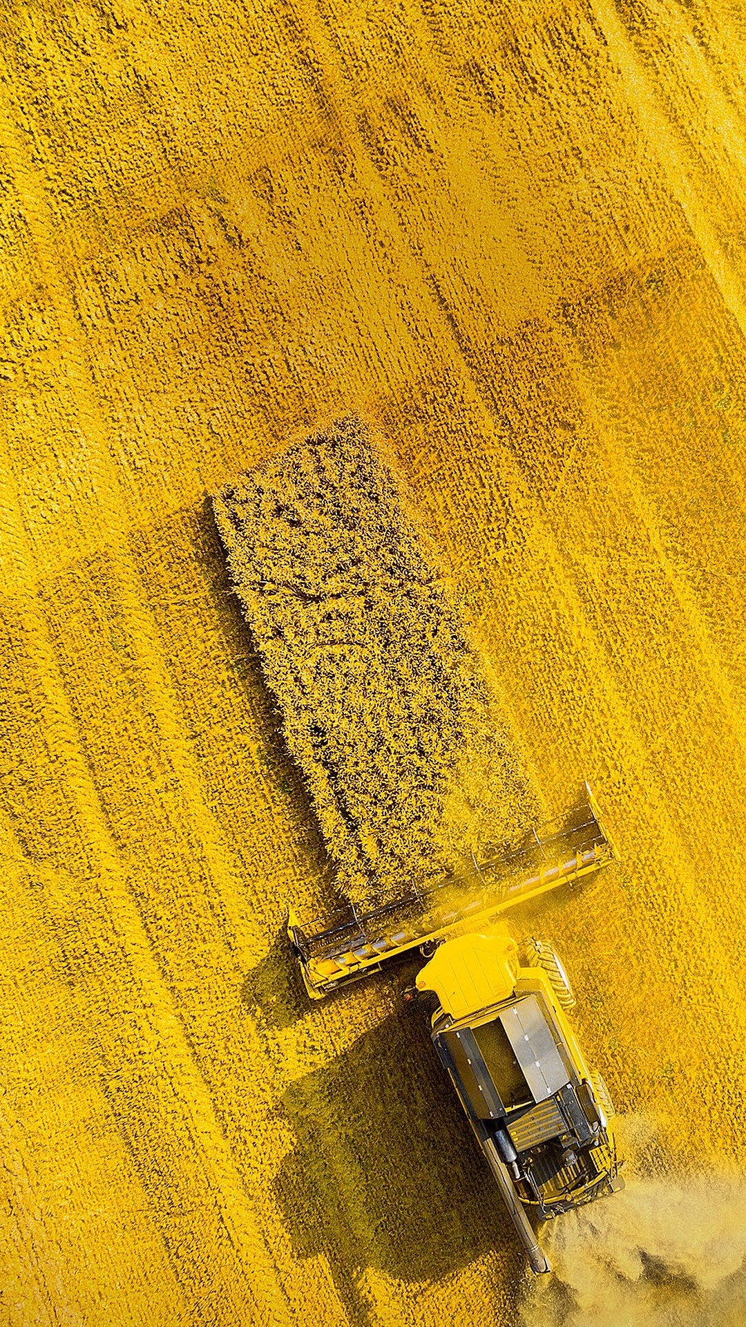 Asus, Asus ZenFone, Asus ZenFone 6, Asus Zenfone Max Pro m1 Zb602kl, Rog Phone Ii. Wallpaper in 1080x1920 Resolution