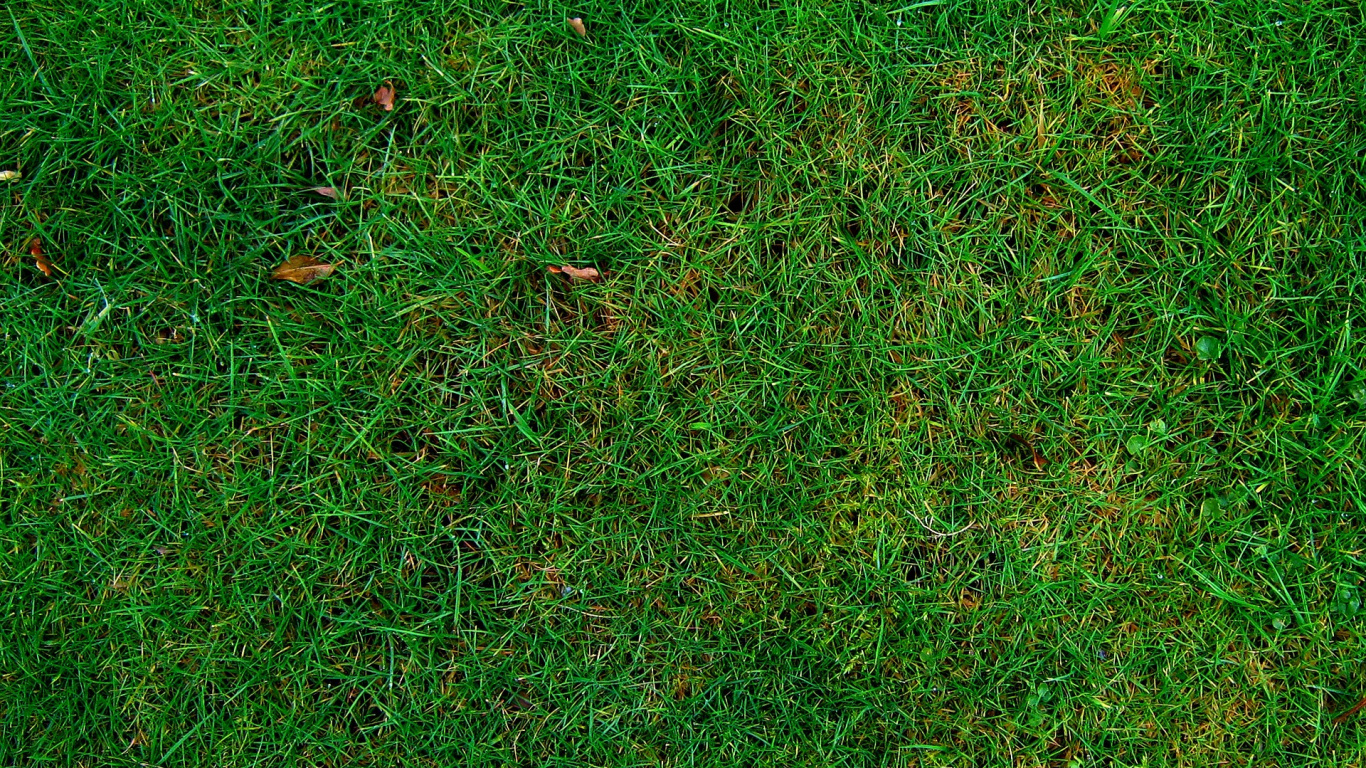 Campo de Hierba Verde Durante el Día. Wallpaper in 1366x768 Resolution