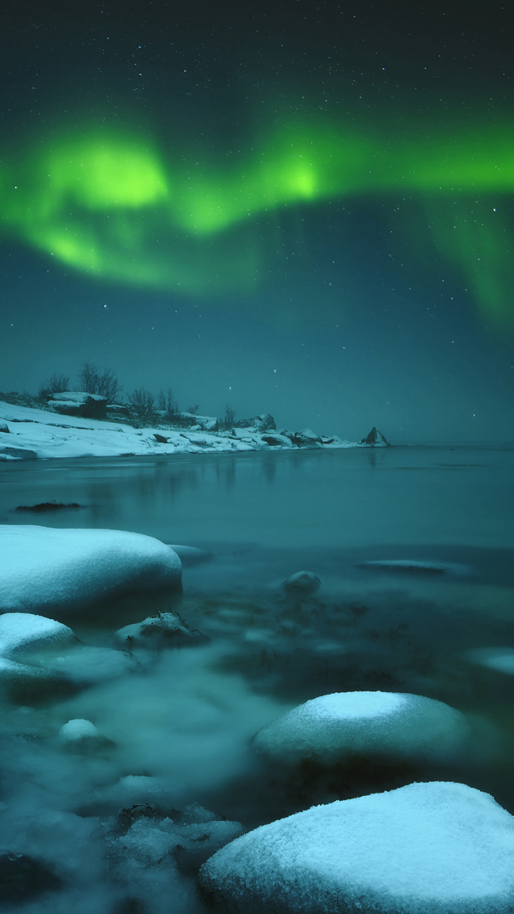 Nokia, Nokia 3.2, 诺基亚3 2, 诺基亚1 3, 诺基亚2 3 壁纸 750x1334 允许