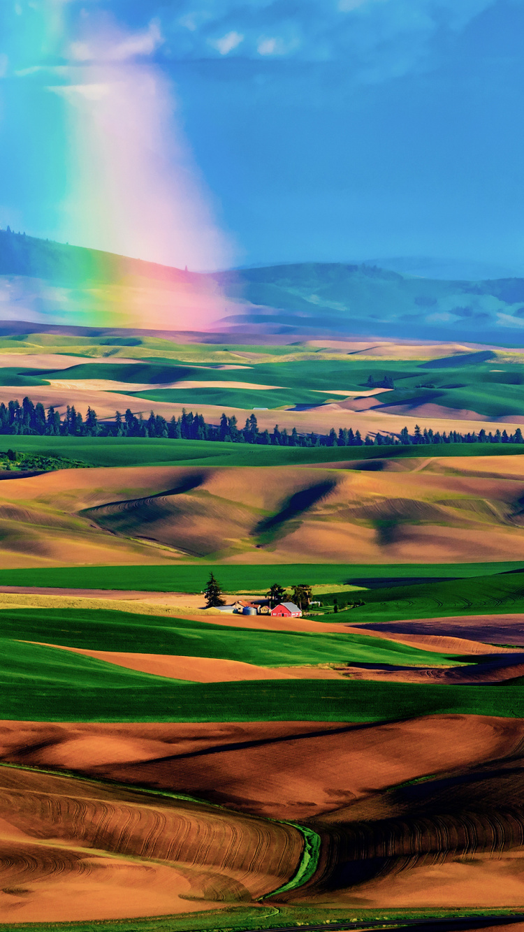 Campo de Hierba Verde Bajo un Cielo Azul Durante el Día. Wallpaper in 750x1334 Resolution