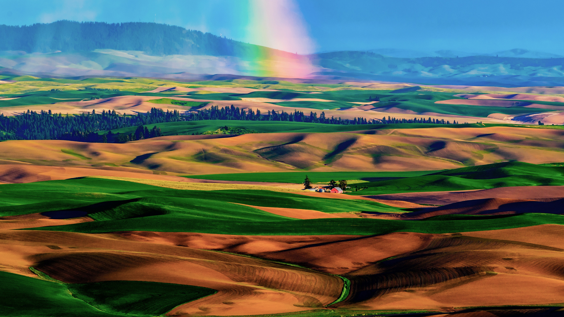 Green Grass Field Under Blue Sky During Daytime. Wallpaper in 1920x1080 Resolution