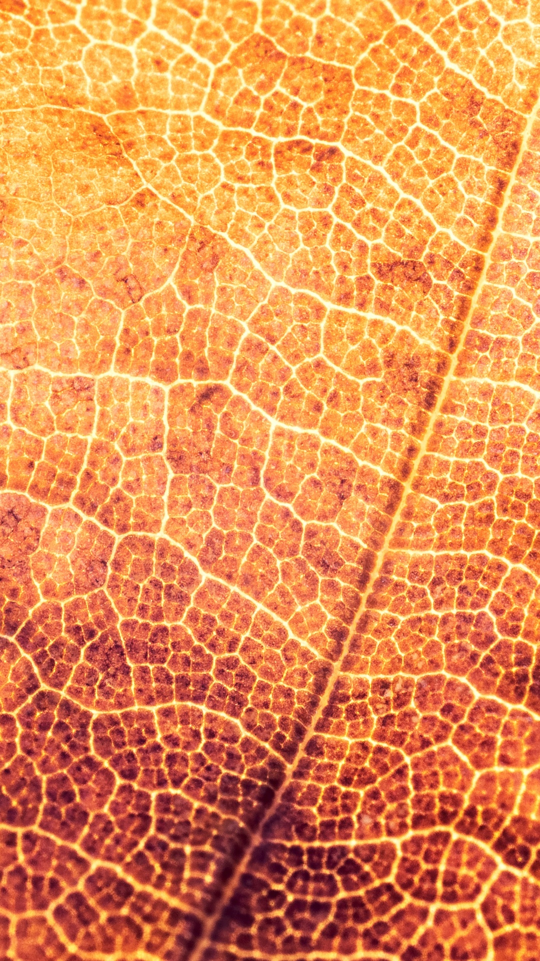 Brown and Black Leaf Textile. Wallpaper in 1080x1920 Resolution