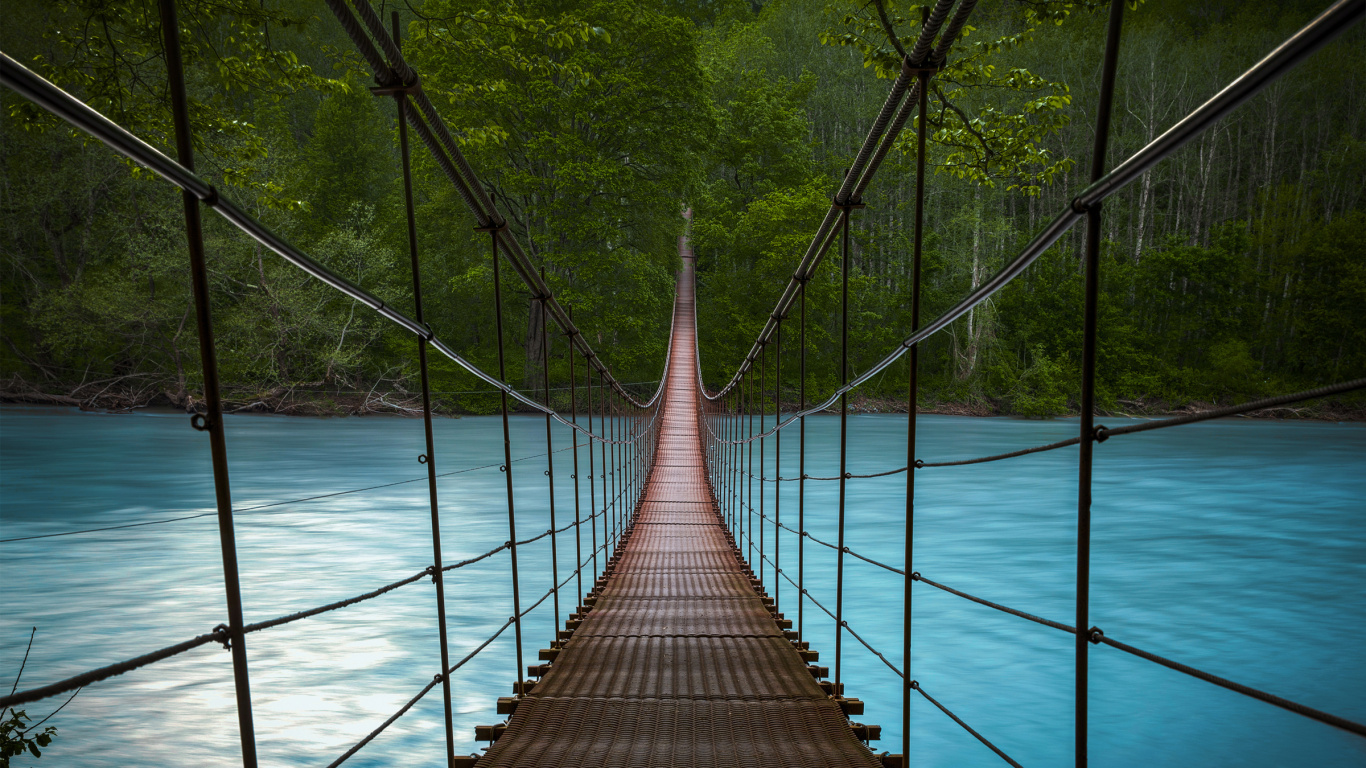 Brücke, Hängebrücke, Wasser, Inka-Seilbrücke, Baum. Wallpaper in 1366x768 Resolution