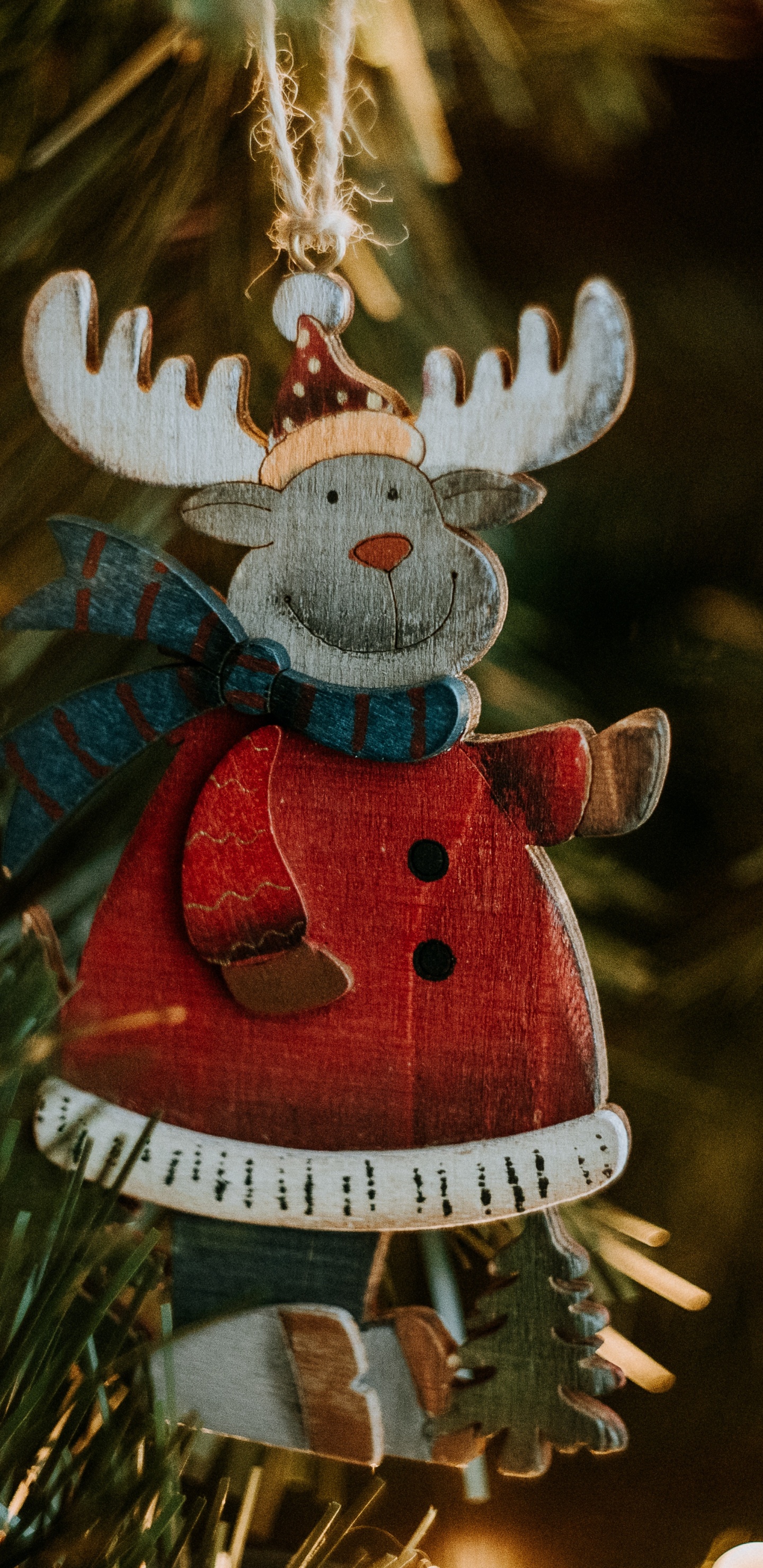 Christmas Day, Christmas Tree, Christmas Ornament, Christmas, Tree. Wallpaper in 1440x2960 Resolution