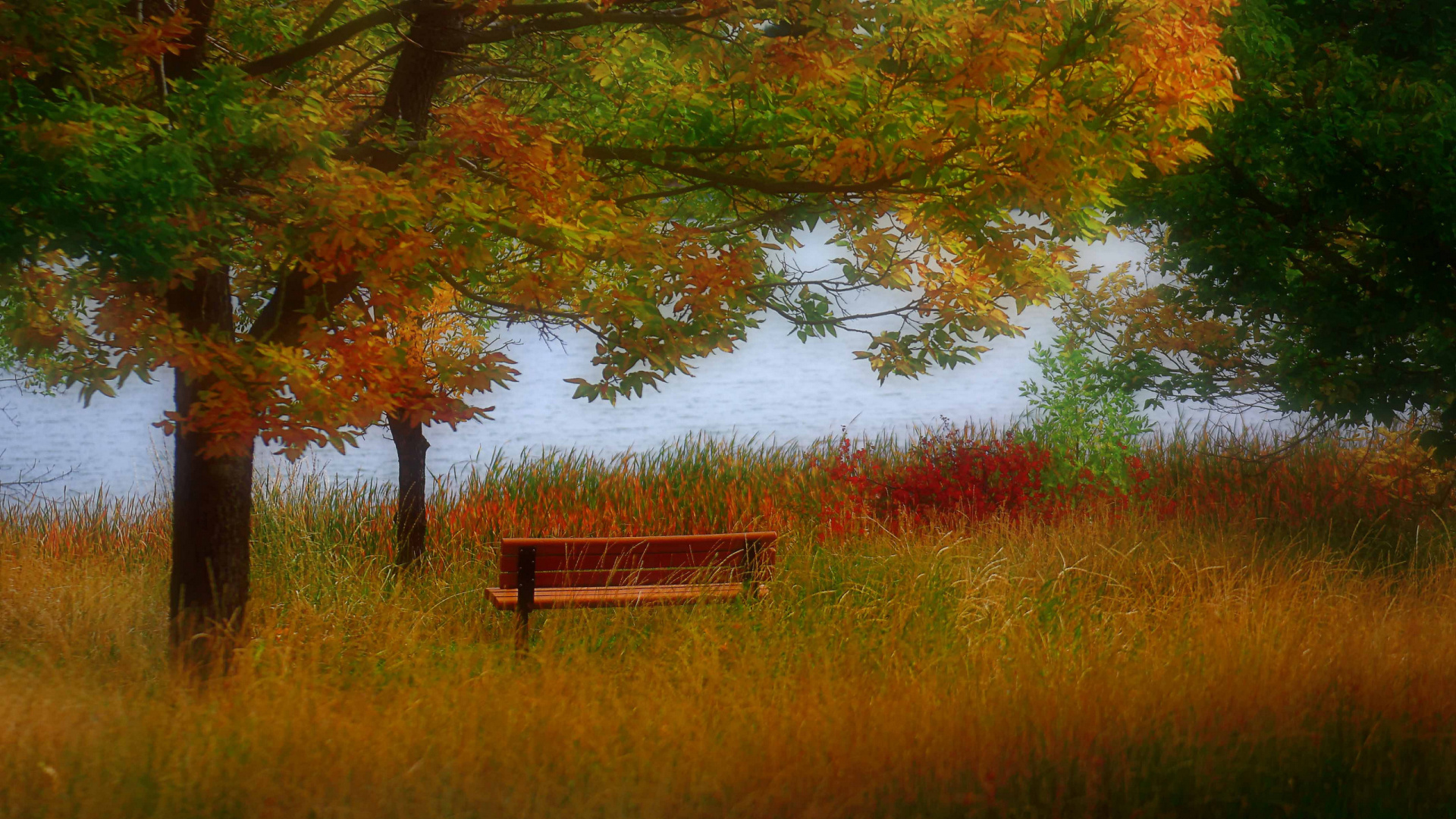 Banc en Bois Marron Près D'un Plan D'eau Pendant la Journée. Wallpaper in 1920x1080 Resolution