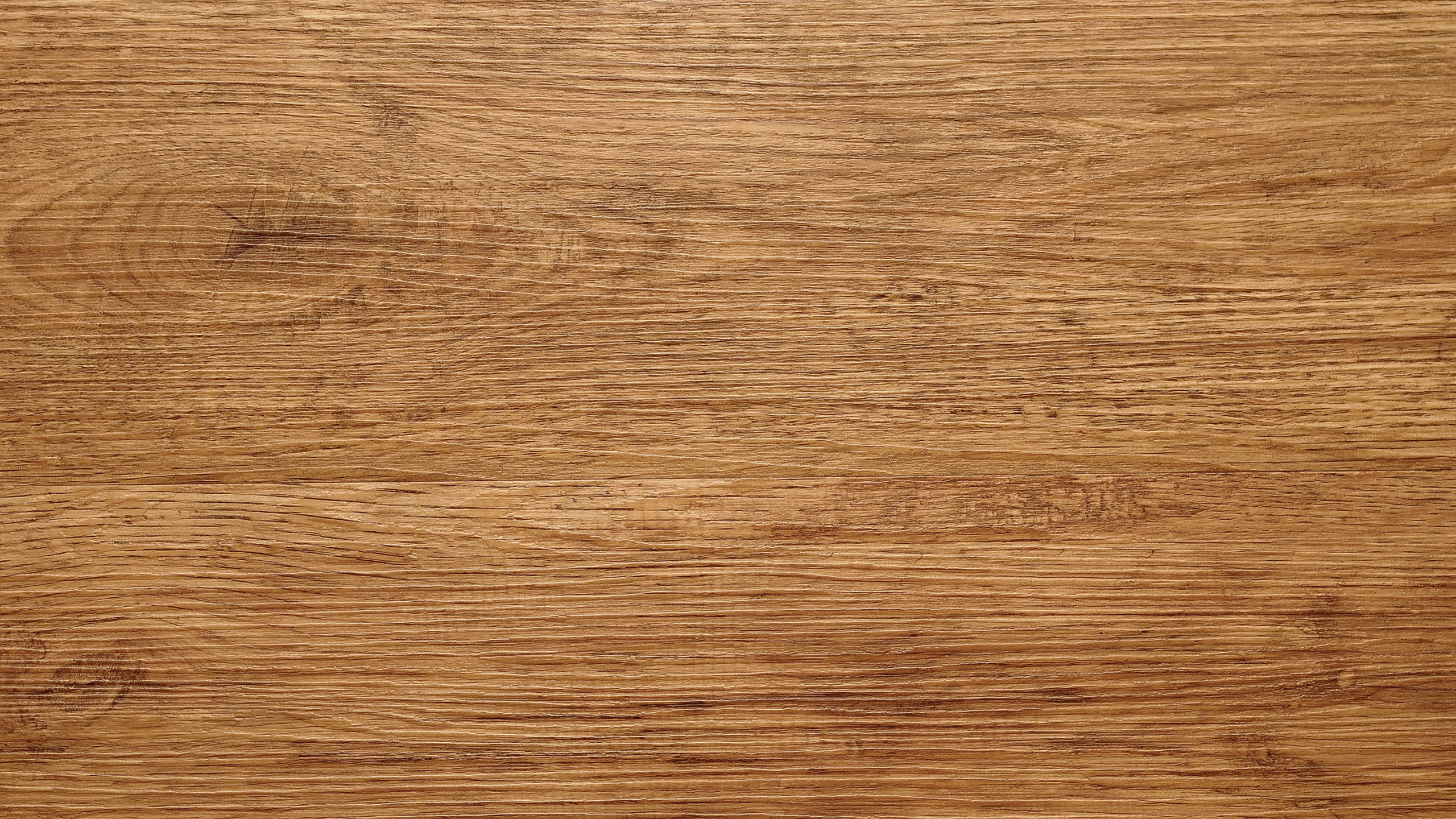 木, 木染色, 硬木, 木地板, 棕色 壁纸 2560x1440 允许