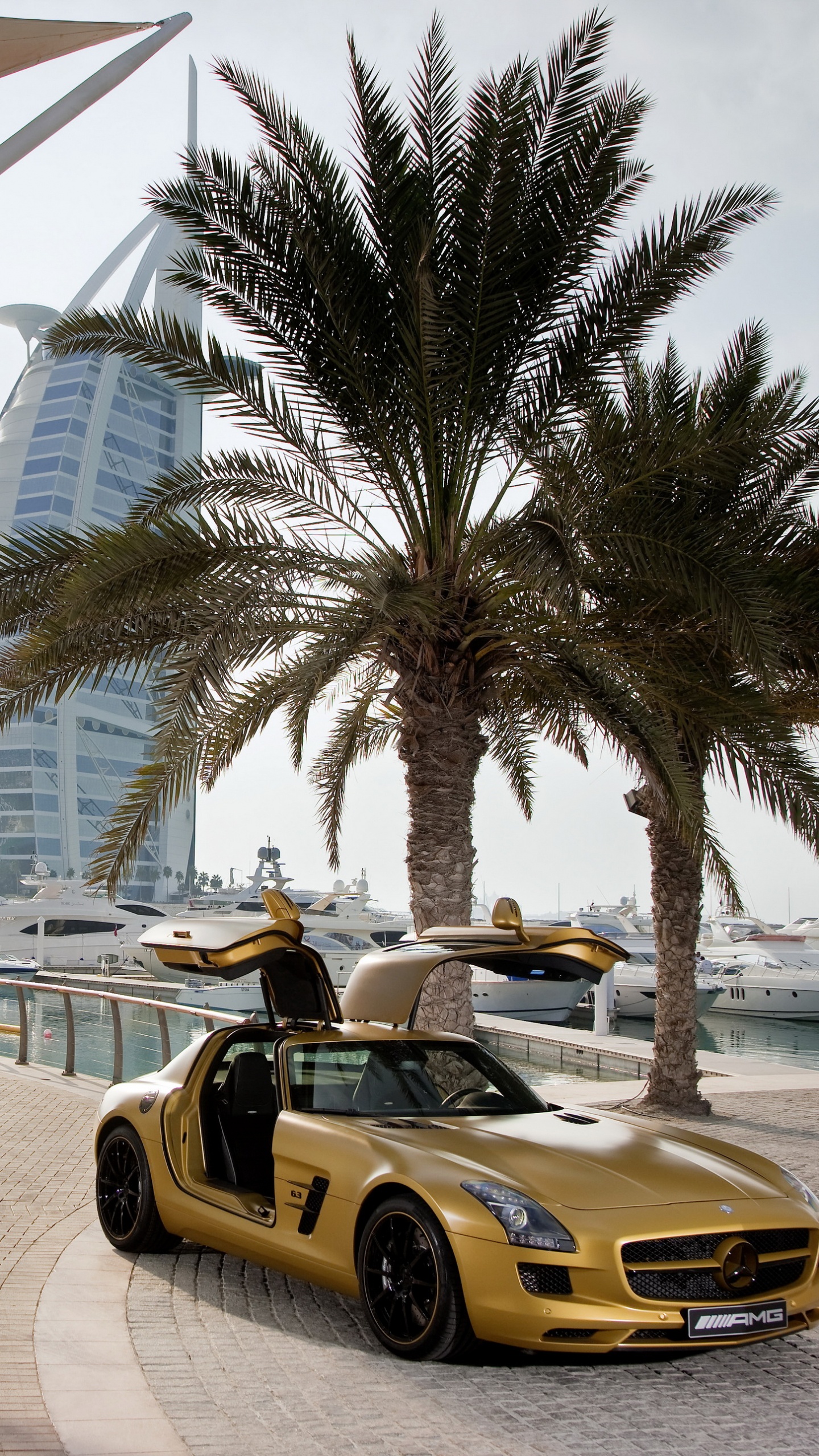 Yellow Ferrari 458 Italia on Road Near Palm Trees During Daytime. Wallpaper in 1440x2560 Resolution