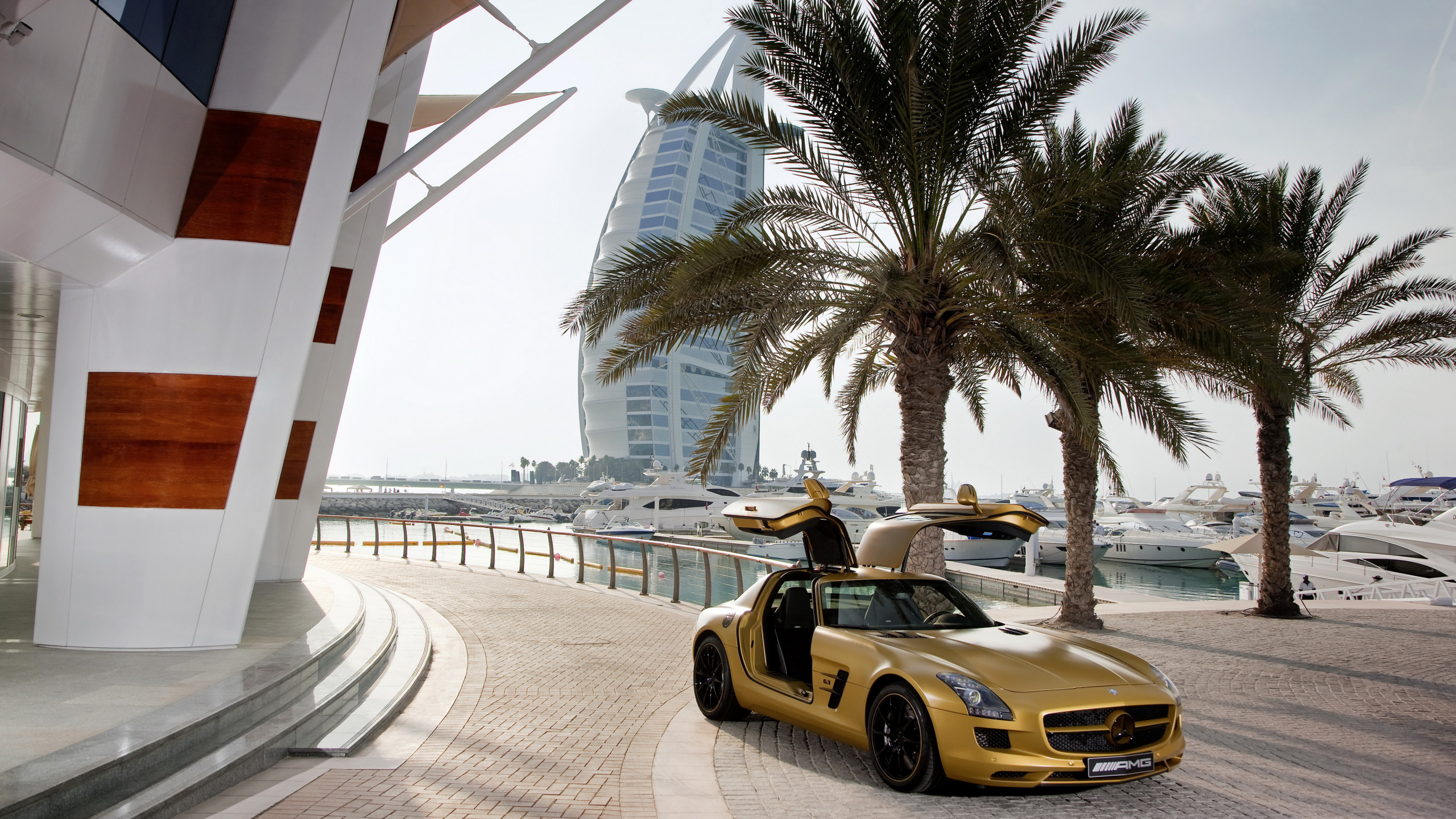 Yellow Ferrari 458 Italia on Road Near Palm Trees During Daytime. Wallpaper in 2560x1440 Resolution