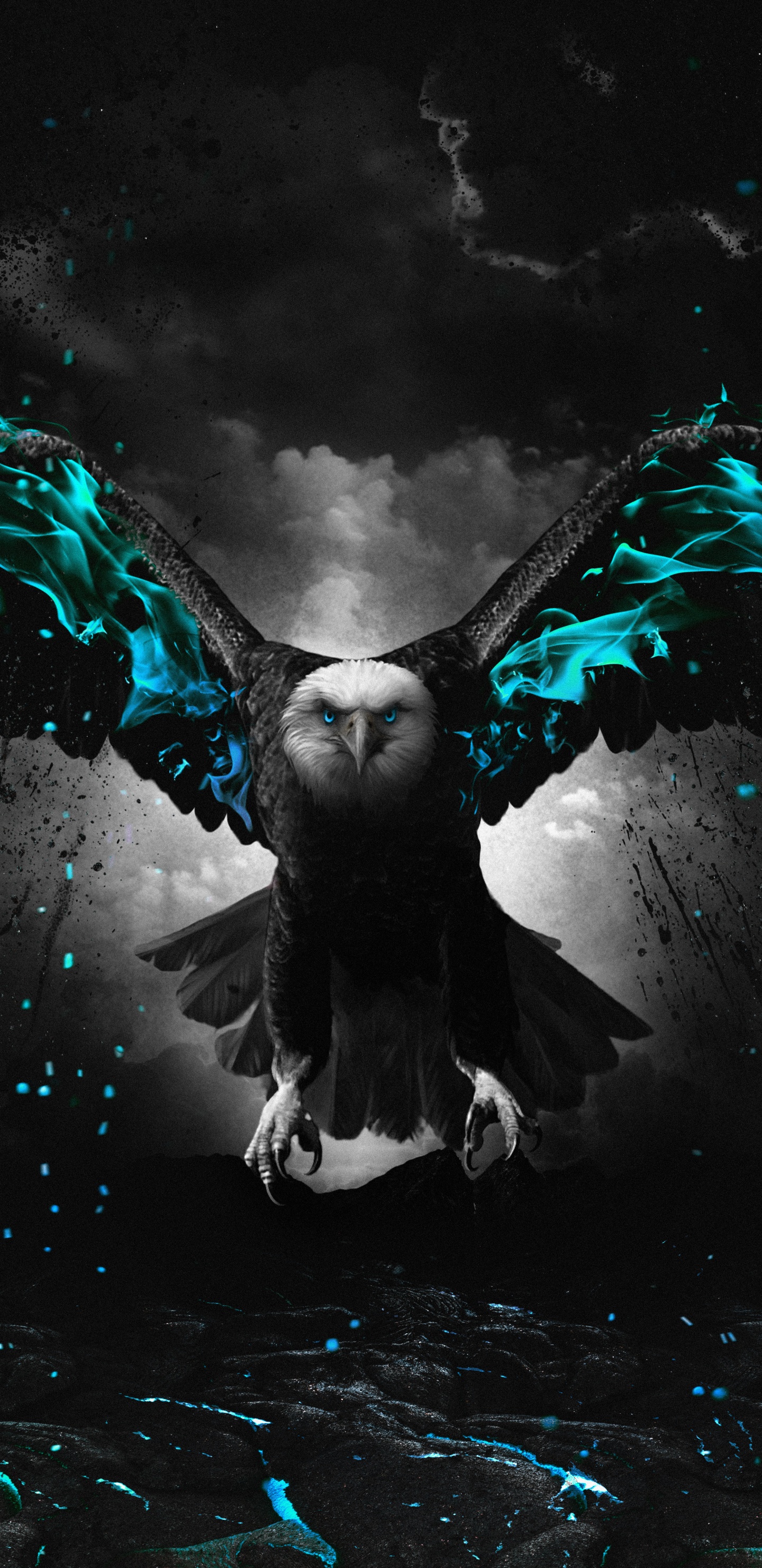 Darkness, Graphic Design, Birds, Bird, People in Nature. Wallpaper in 1440x2960 Resolution