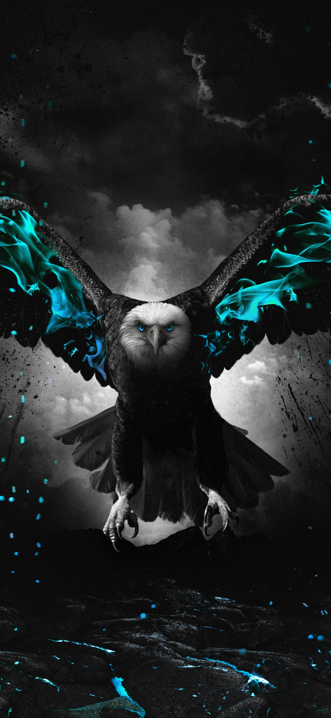 Grafik-design, Birds, Vogel, Menschen in Der Natur, Wasser. Wallpaper in 1125x2436 Resolution