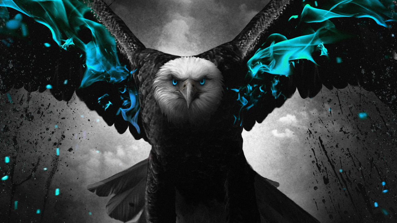 Grafik-design, Birds, Vogel, Menschen in Der Natur, Wasser. Wallpaper in 1280x720 Resolution