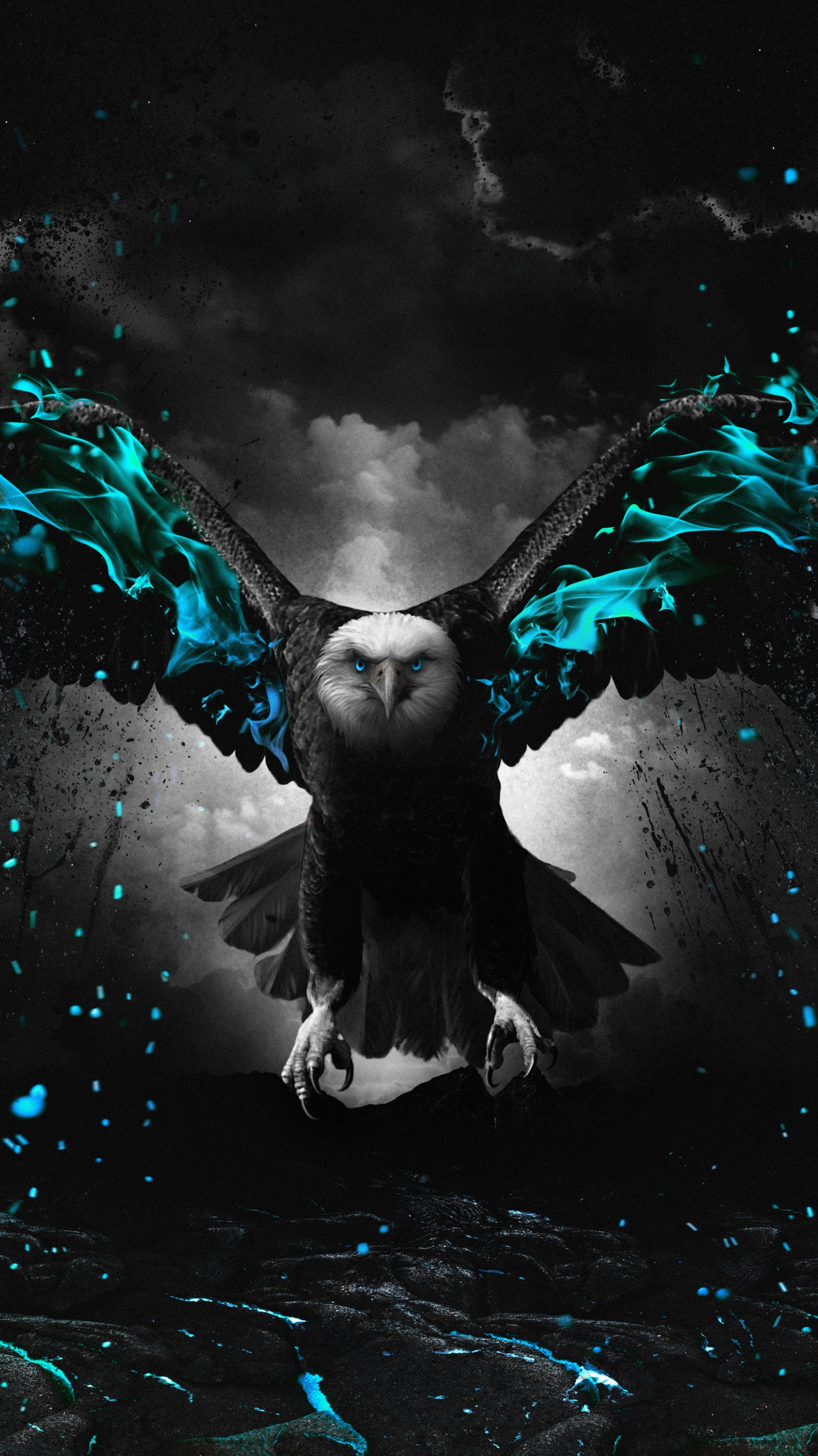 Grafik-design, Birds, Vogel, Menschen in Der Natur, Wasser. Wallpaper in 1440x2560 Resolution