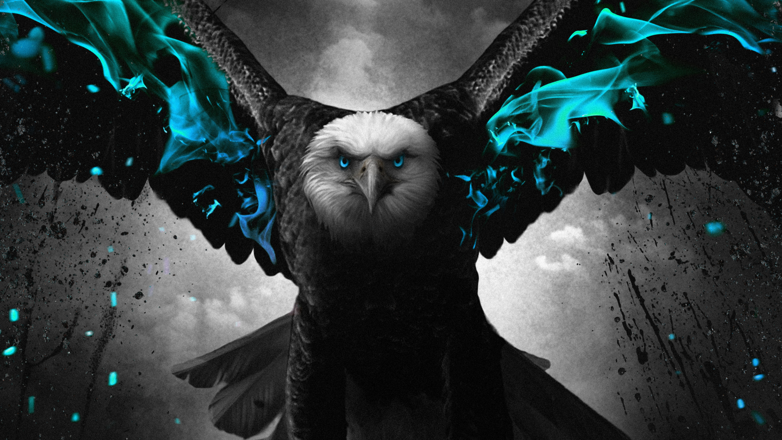 Grafik-design, Birds, Vogel, Menschen in Der Natur, Wasser. Wallpaper in 2560x1440 Resolution