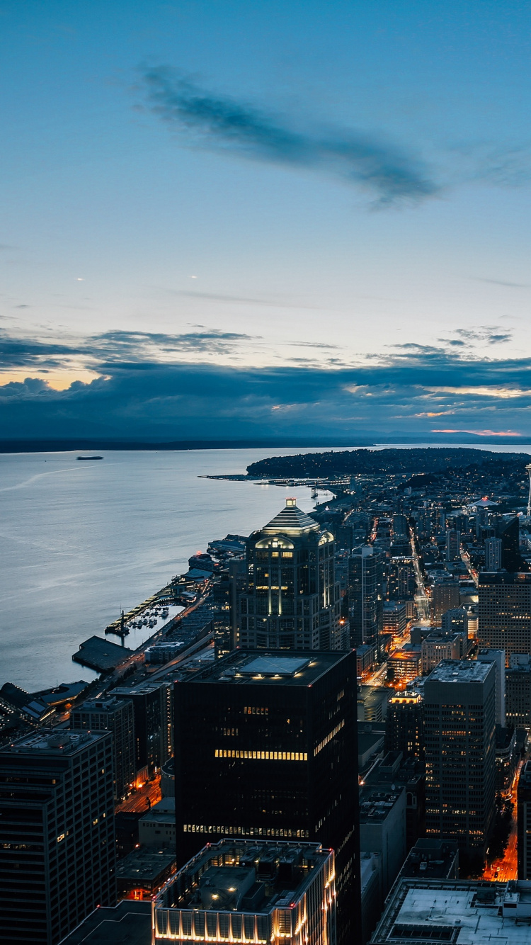 Horizon de la Ville Près D'un Plan D'eau Pendant la Nuit. Wallpaper in 750x1334 Resolution