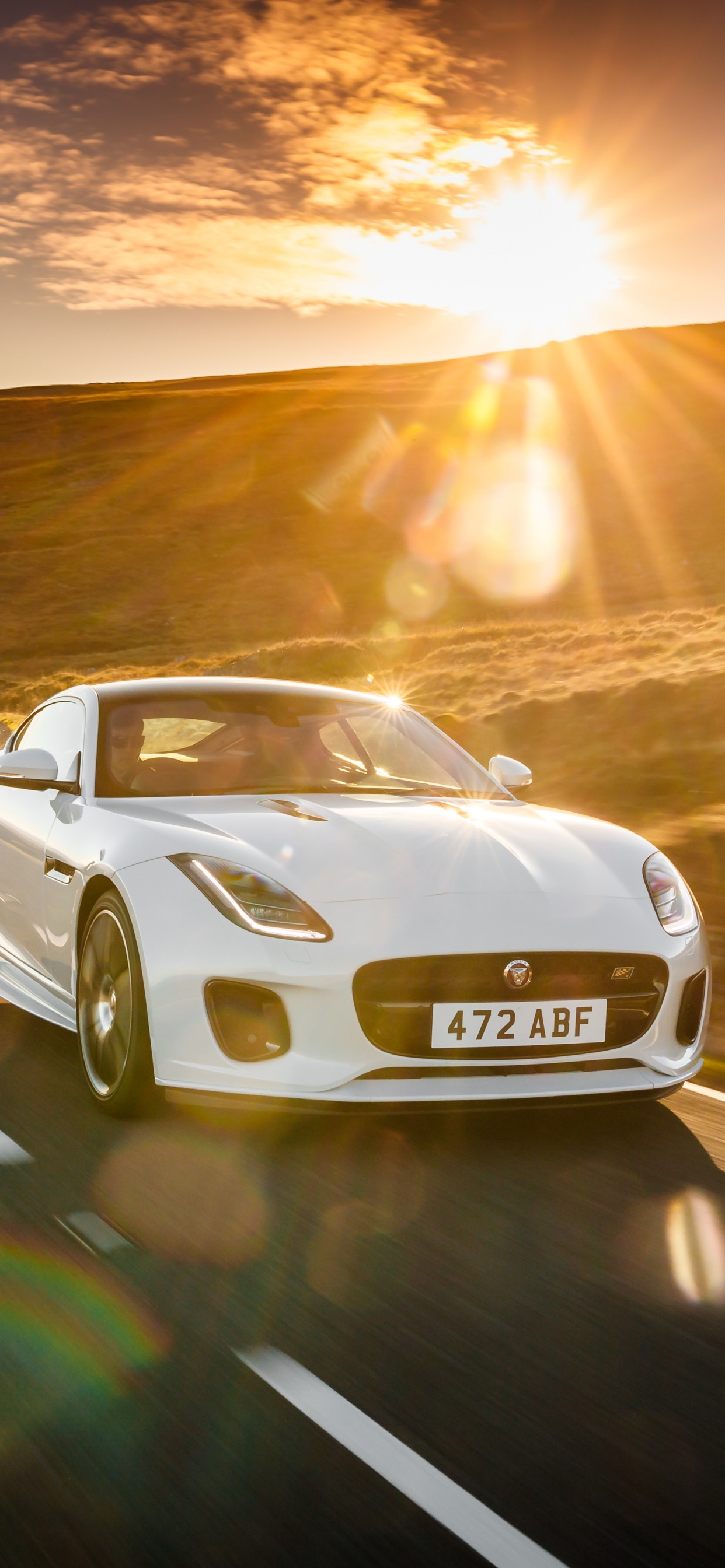 White Audi r 8 on Road During Daytime. Wallpaper in 1242x2688 Resolution