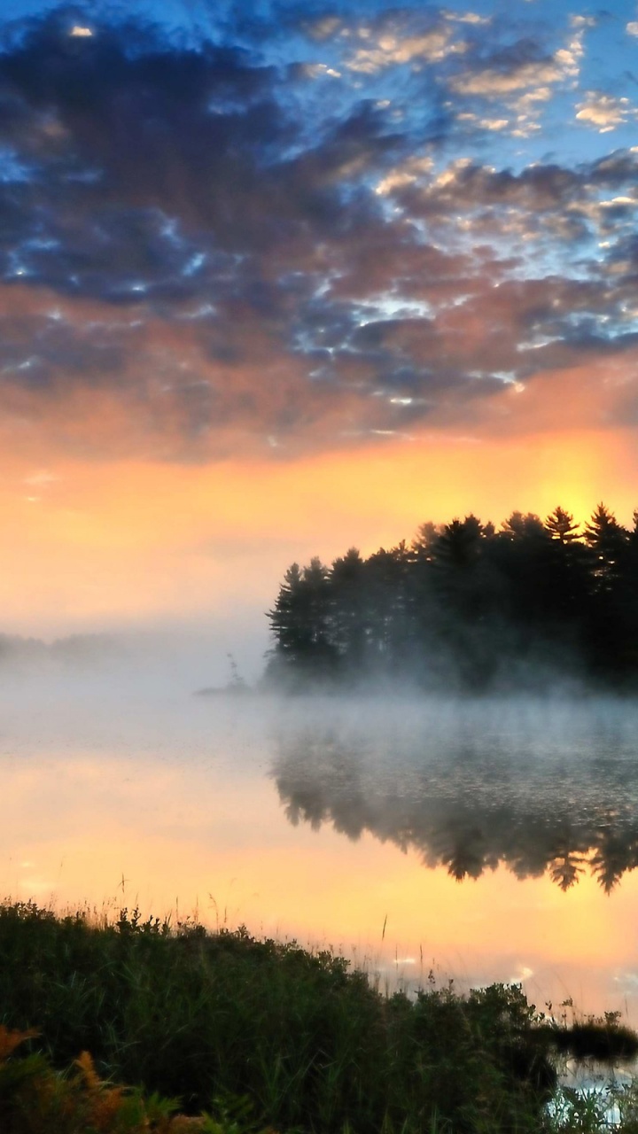 Árboles Verdes Junto al Cuerpo de Agua Bajo un Cielo Nublado Durante el Día. Wallpaper in 720x1280 Resolution