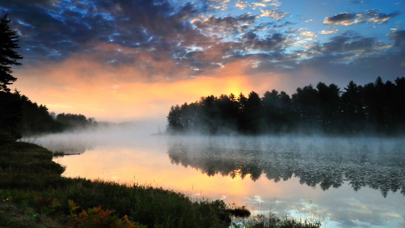 Green Trees Beside Body of Water Under Cloudy Sky During Daytime. Wallpaper in 1366x768 Resolution