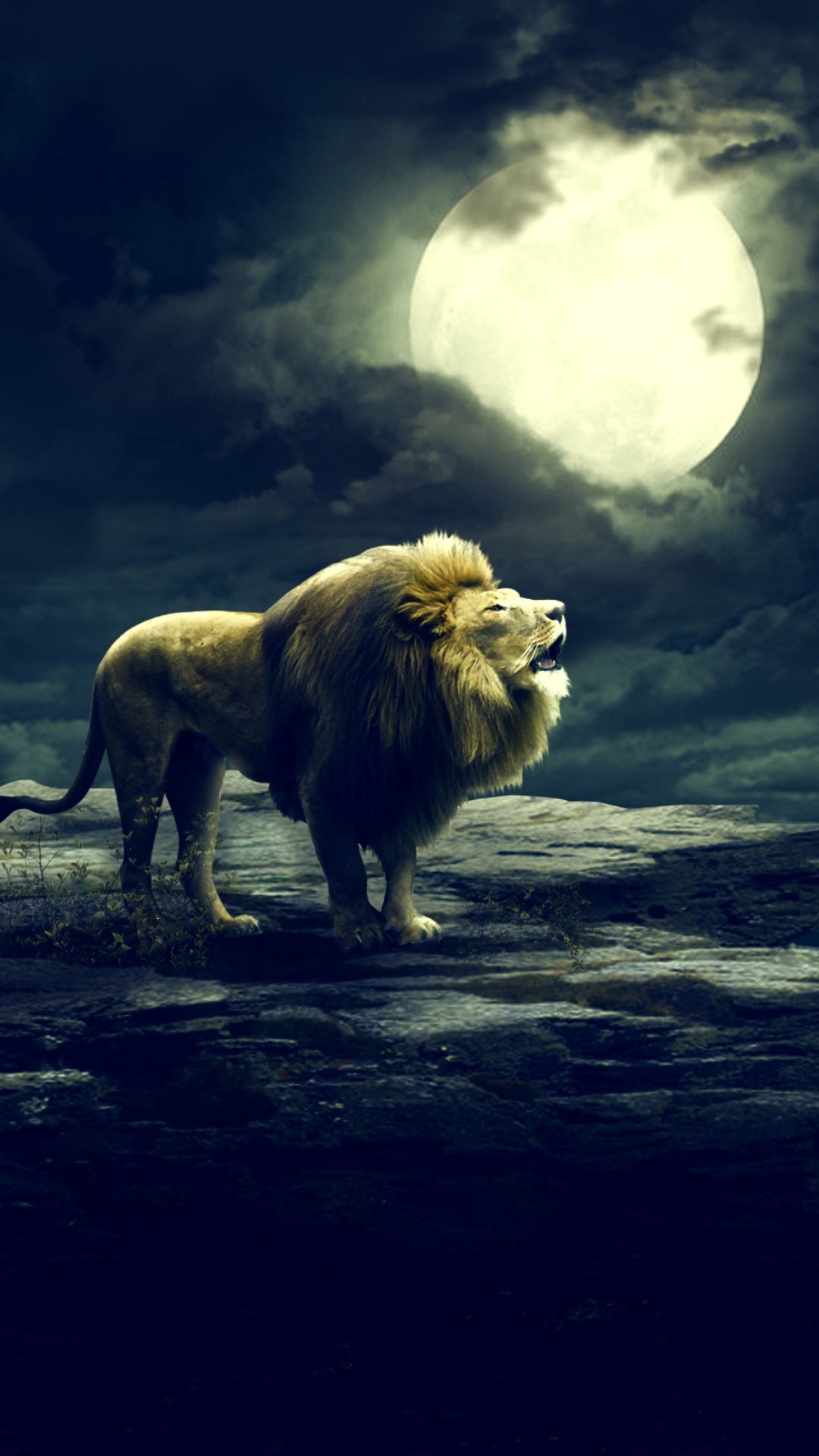 Fauna, Ambiente, Luna, Masai León, Leones. Wallpaper in 1080x1920 Resolution