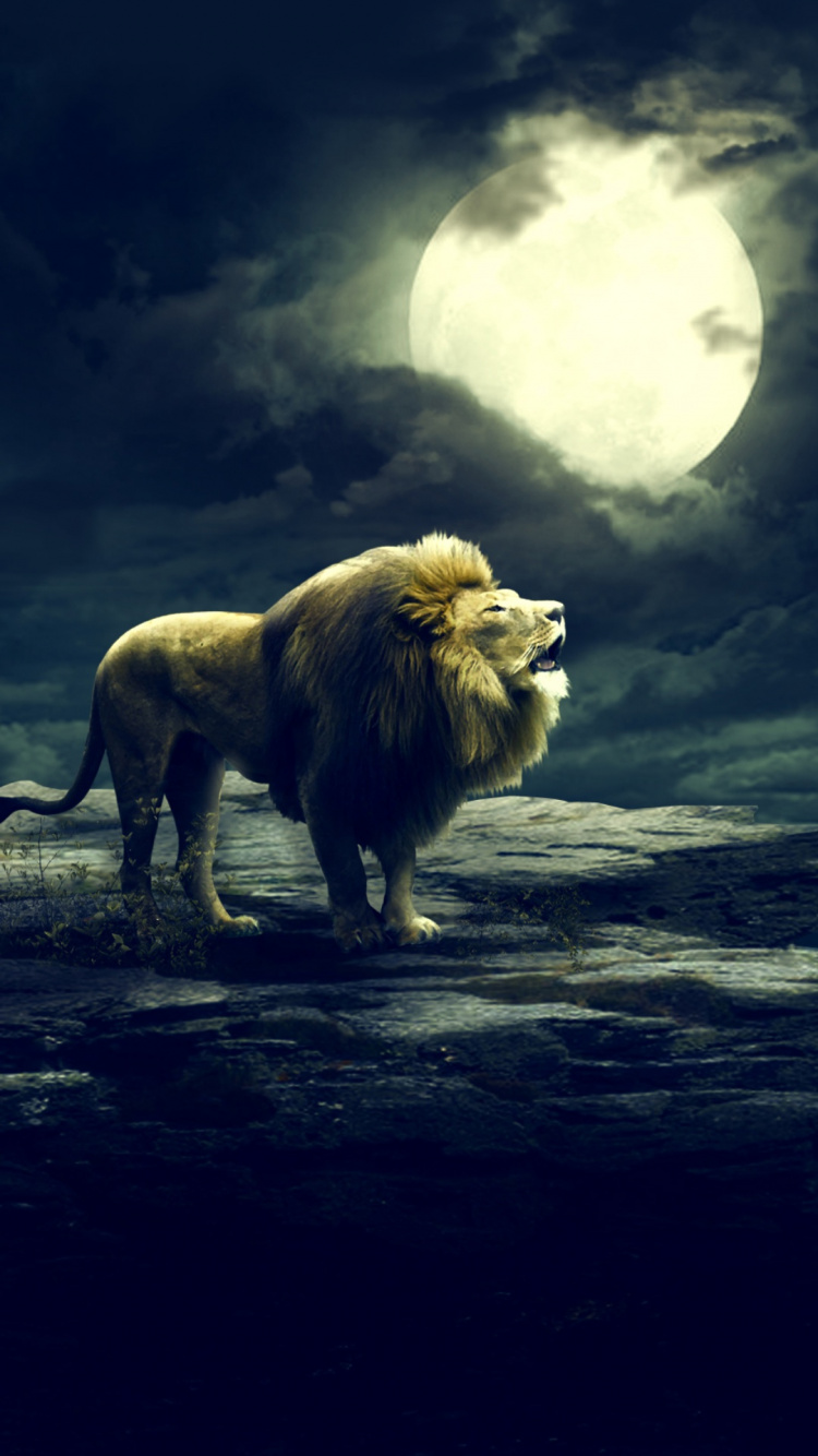 Tierwelt, Cloud, Atmosphäre, Mond, Massai-Löwe. Wallpaper in 750x1334 Resolution