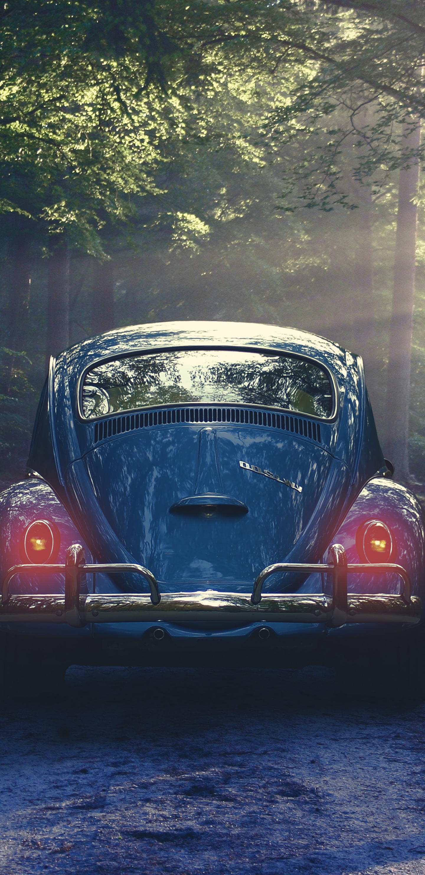 Volkswagen Beetle Rouge Garée Sur le Bord de la Route. Wallpaper in 1440x2960 Resolution