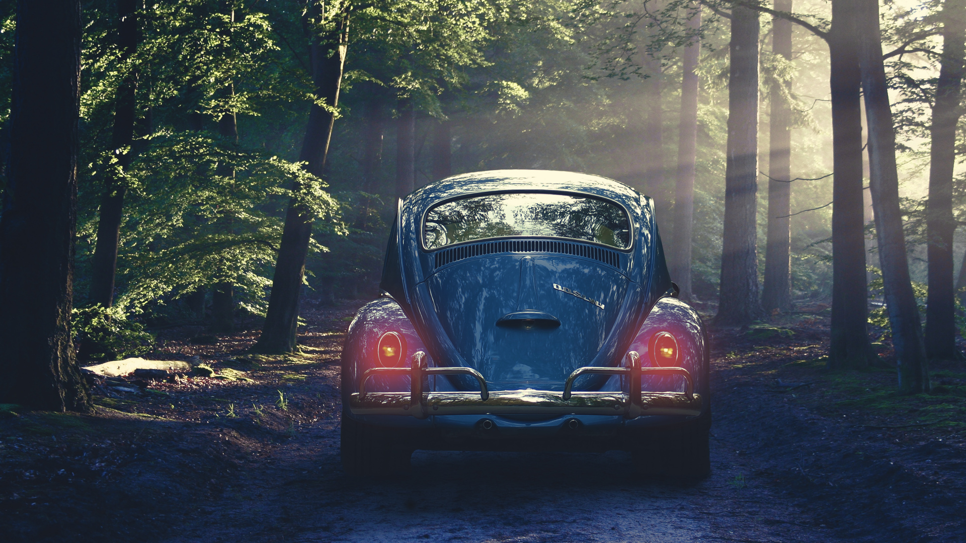 Volkswagen Beetle Rouge Garée Sur le Bord de la Route. Wallpaper in 1920x1080 Resolution