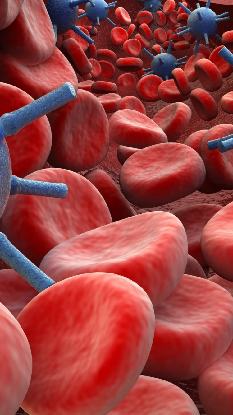 Diagnostic Médical, Traitement Médical, Médicament, Patient, Santé. Wallpaper in 750x1334 Resolution