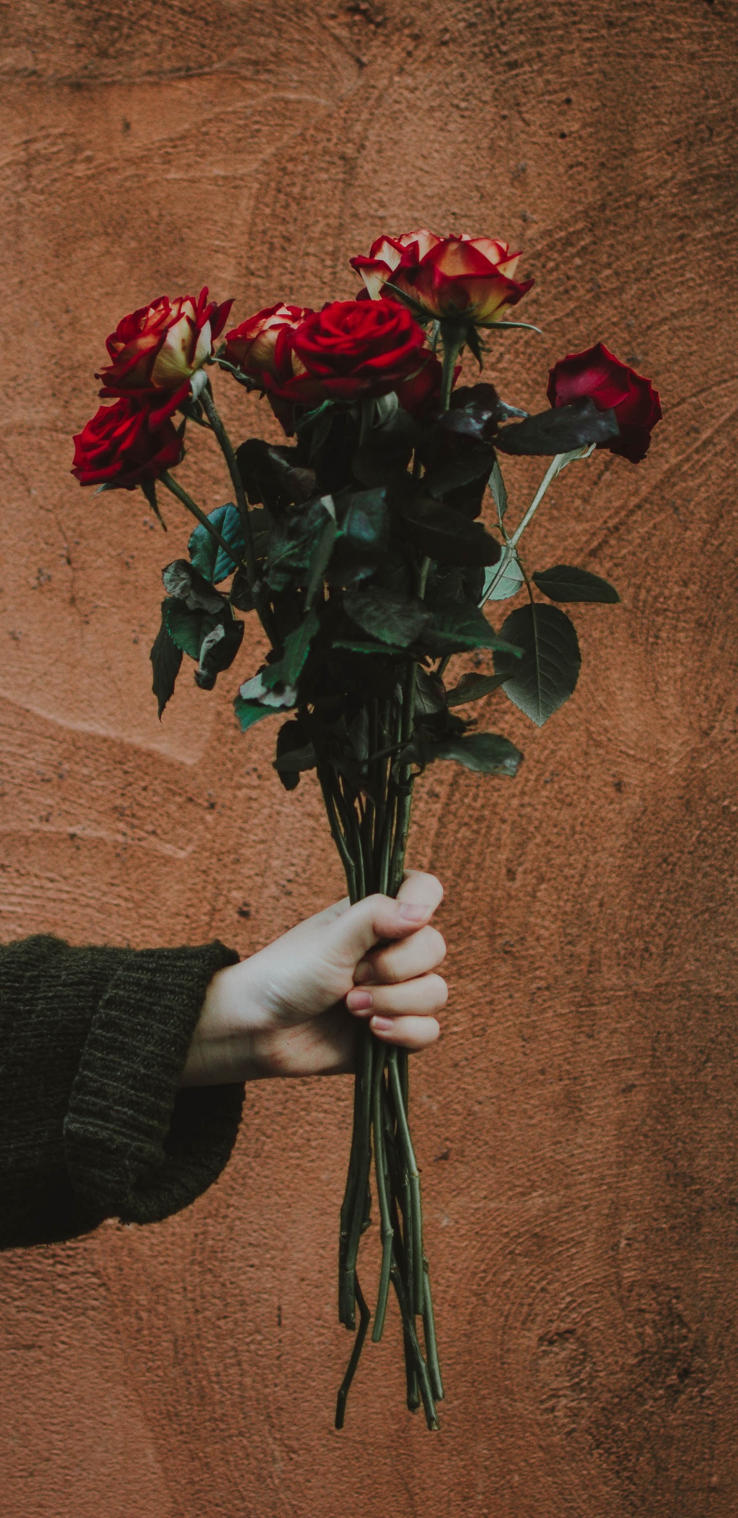 Red Rose Bouquet on Brown Textile. Wallpaper in 1440x2960 Resolution