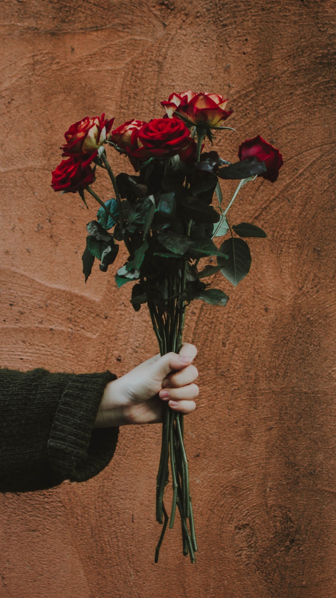 Bouquet de Roses Rouges Sur Textile Marron. Wallpaper in 1080x1920 Resolution