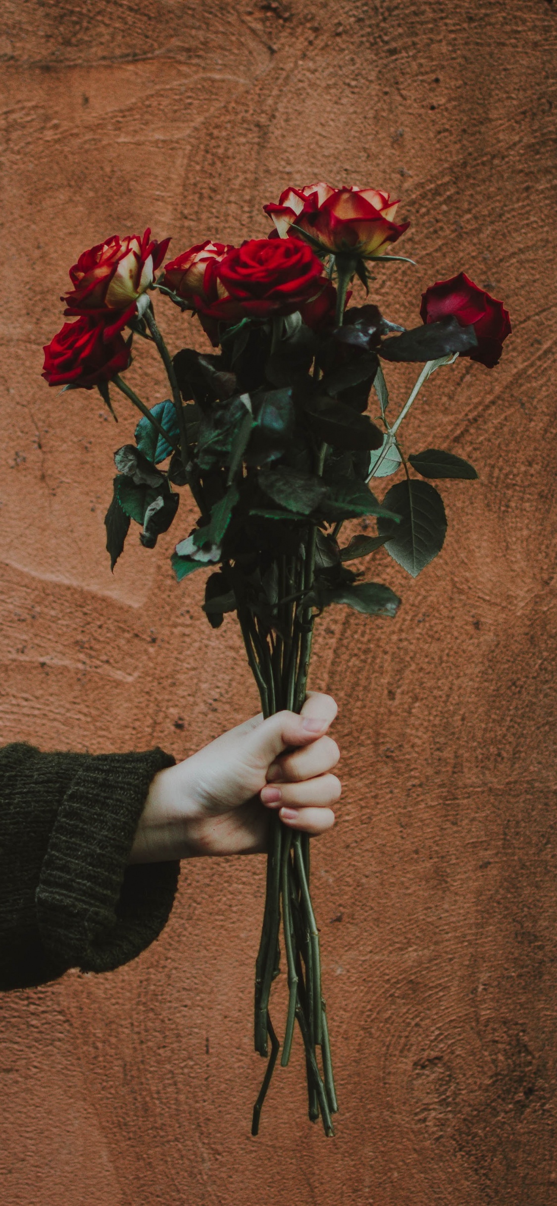 Bouquet de Roses Rouges Sur Textile Marron. Wallpaper in 1125x2436 Resolution