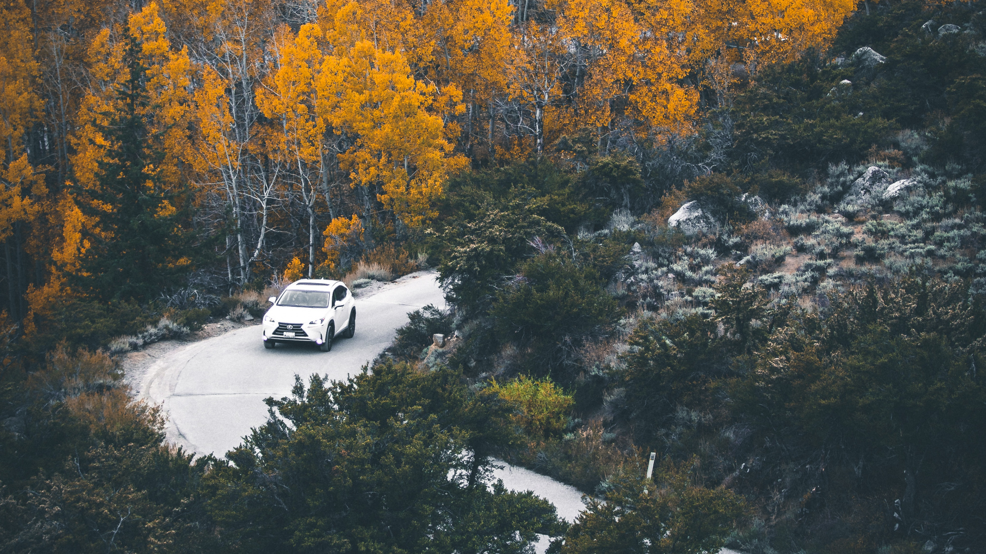 Reflexión, Naturaleza, Agua, Amarillo, Desierto. Wallpaper in 1920x1080 Resolution
