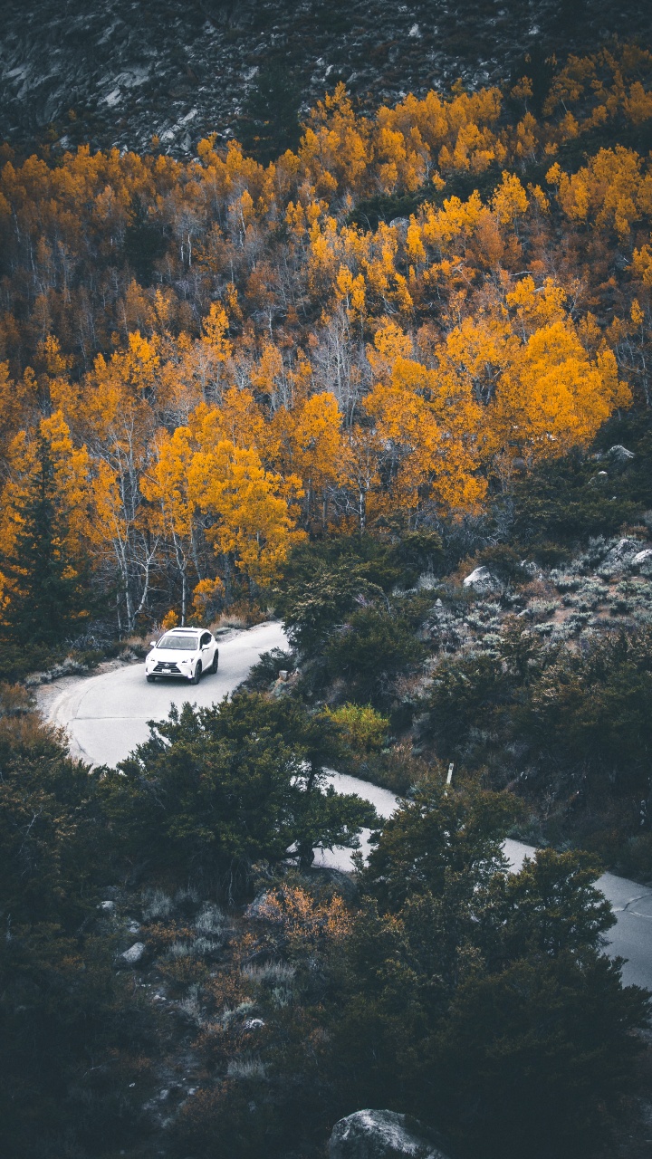 Reflexión, Naturaleza, Agua, Amarillo, Desierto. Wallpaper in 720x1280 Resolution