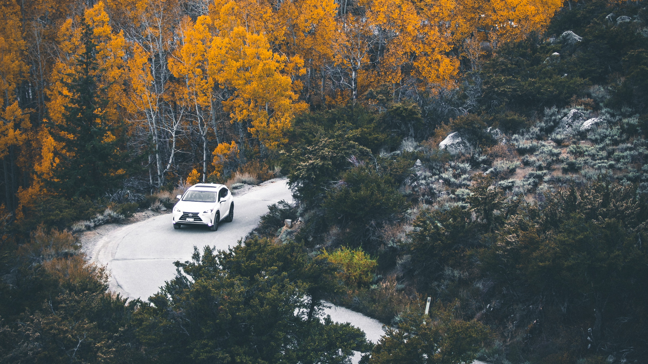 Reflexion, Baum, Natur, Blatt, Wasser. Wallpaper in 2560x1440 Resolution