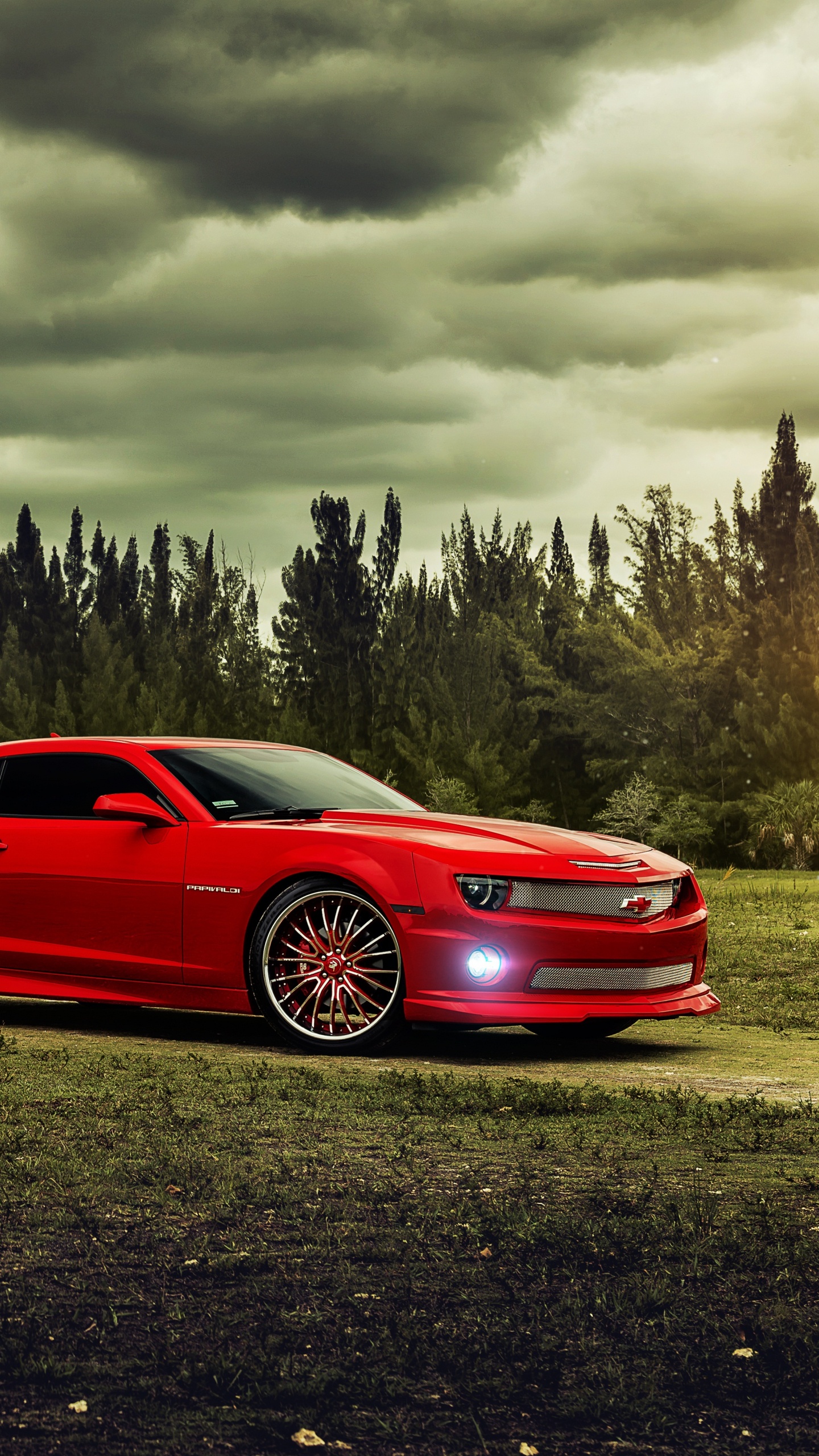 Red Coupe on Green Grass Field Under Cloudy Sky During Daytime. Wallpaper in 1440x2560 Resolution