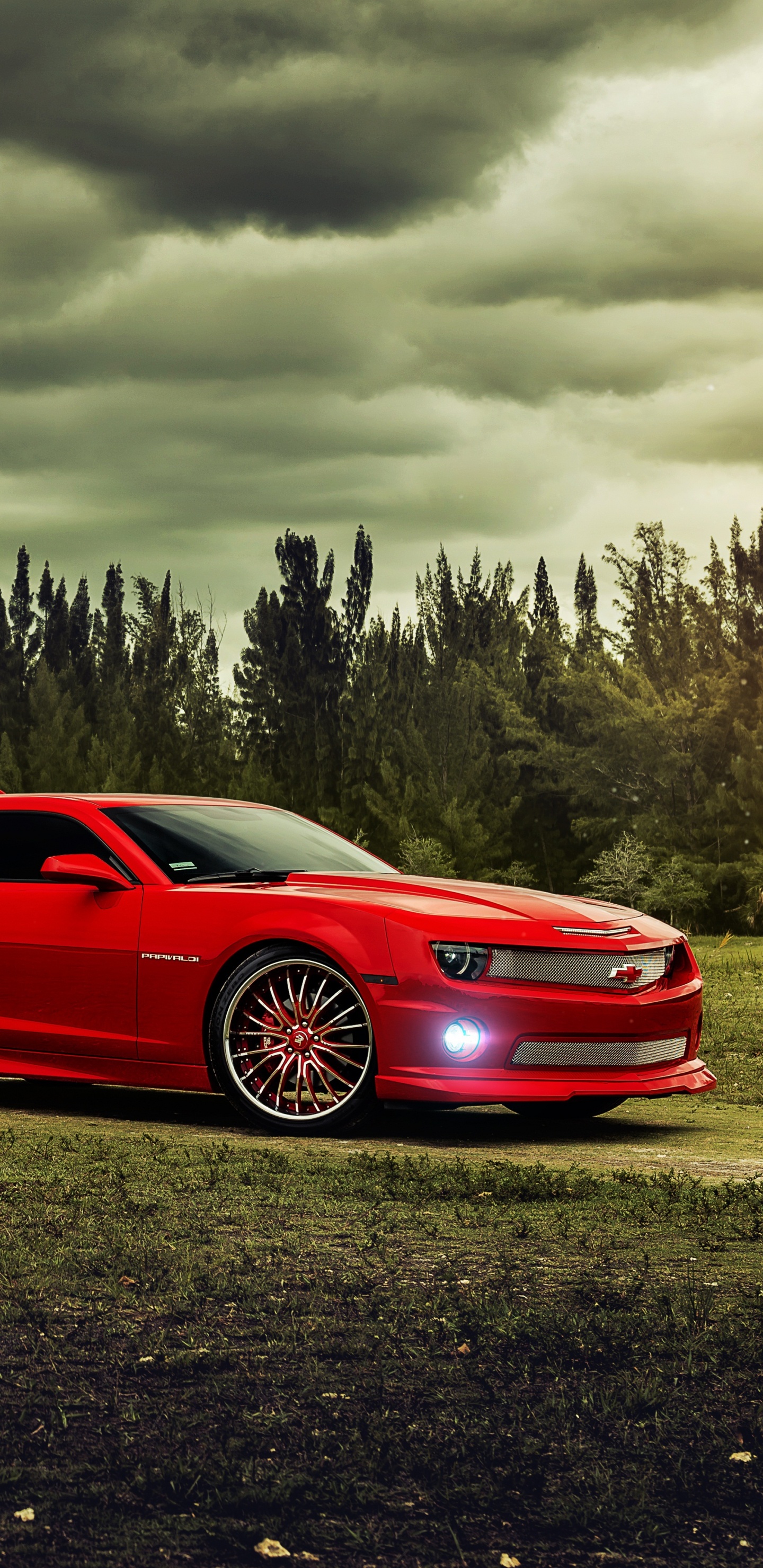 Coupe Rojo en Campo de Hierba Verde Bajo un Cielo Nublado Durante el Día. Wallpaper in 1440x2960 Resolution