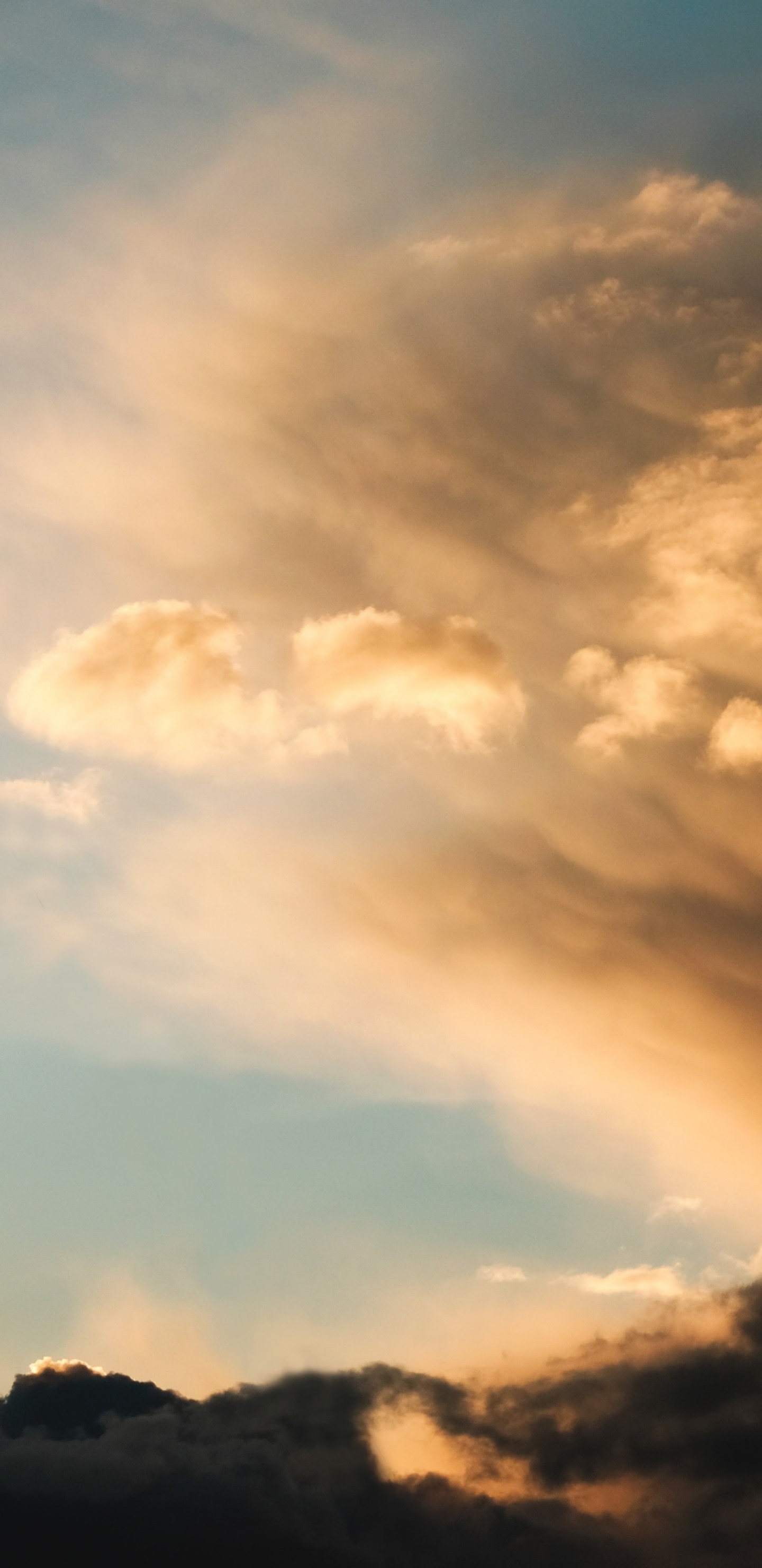 Apple, IPhone, IPhone X, Apples, Exo 20 16. Wallpaper in 1440x2960 Resolution