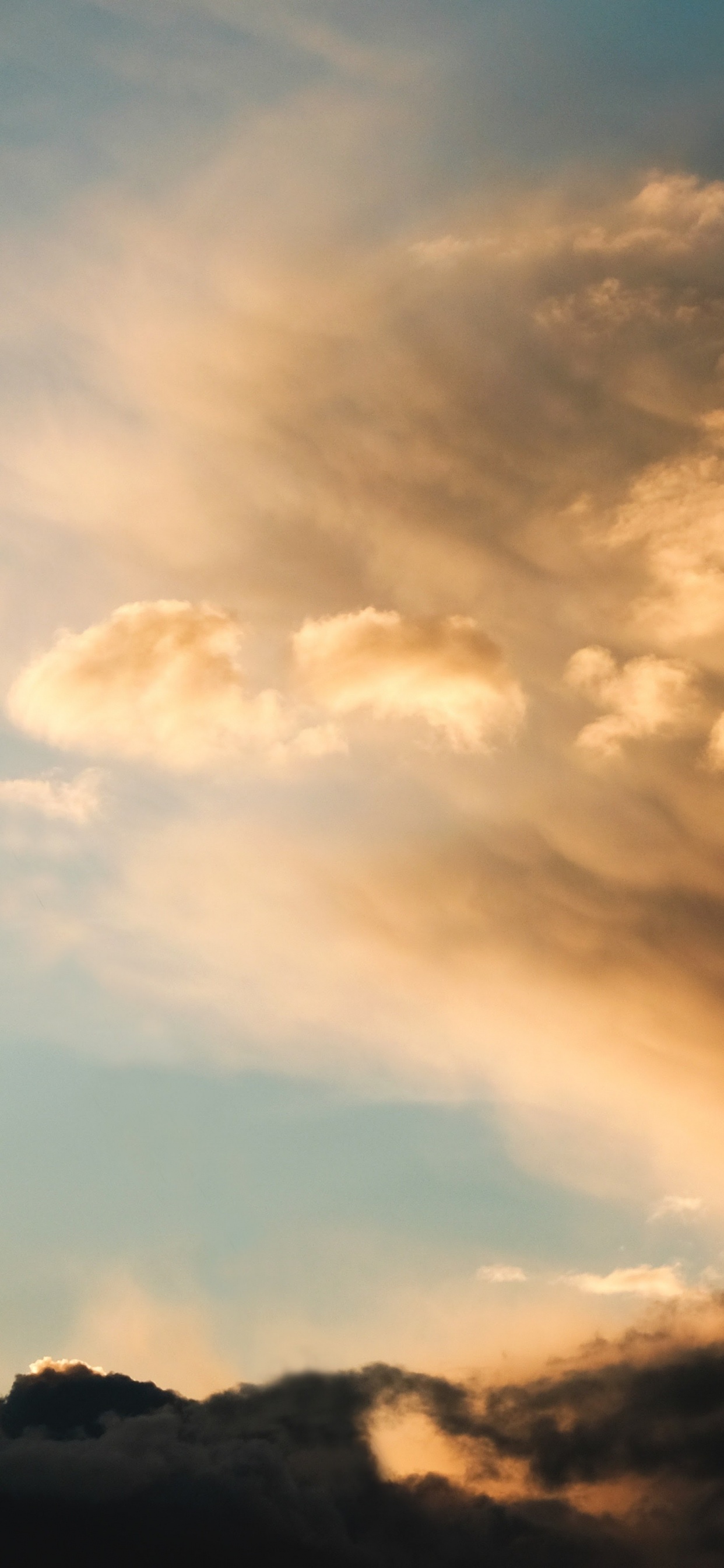 Apple, IPhone, IPhone X, Manzana, Exo 20 16. Wallpaper in 1242x2688 Resolution