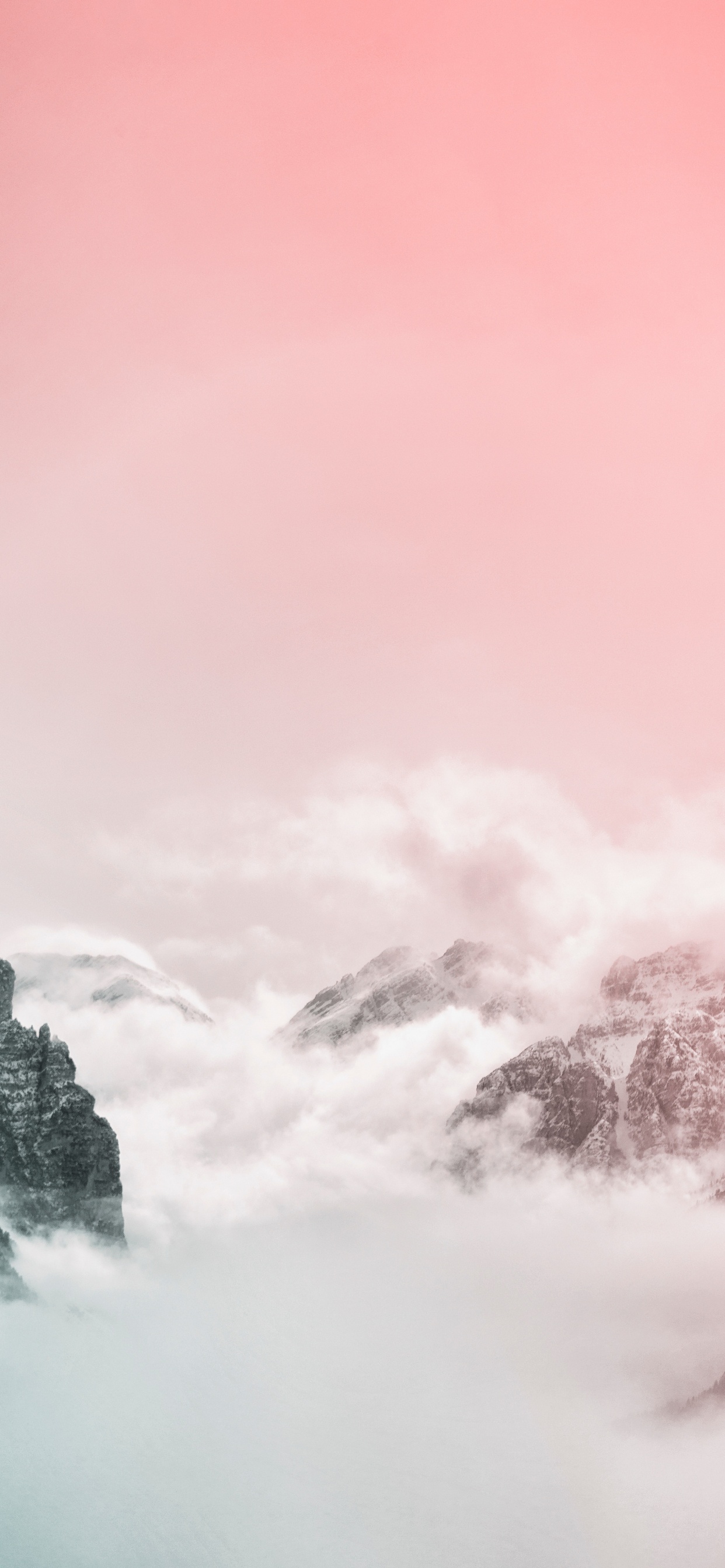 Cloud, Pink, Atmosphäre, Baum, Nebel. Wallpaper in 1242x2688 Resolution