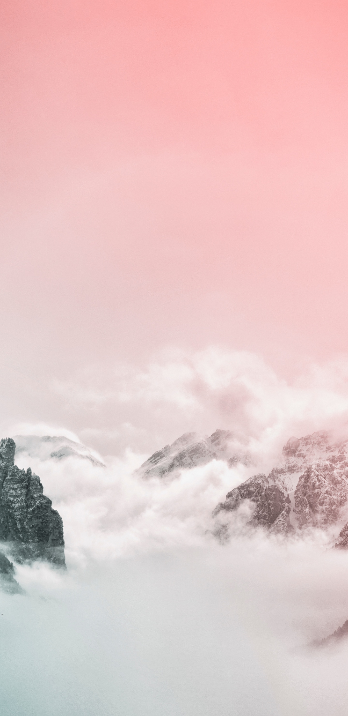 Cloud, Pink, Atmosphäre, Baum, Nebel. Wallpaper in 1440x2960 Resolution