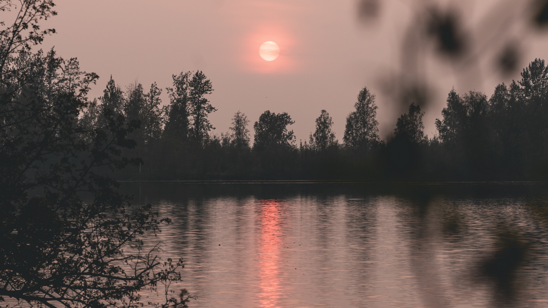 Natur, Reflexion, Wasser, Baum, Sonnenaufgang. Wallpaper in 1920x1080 Resolution