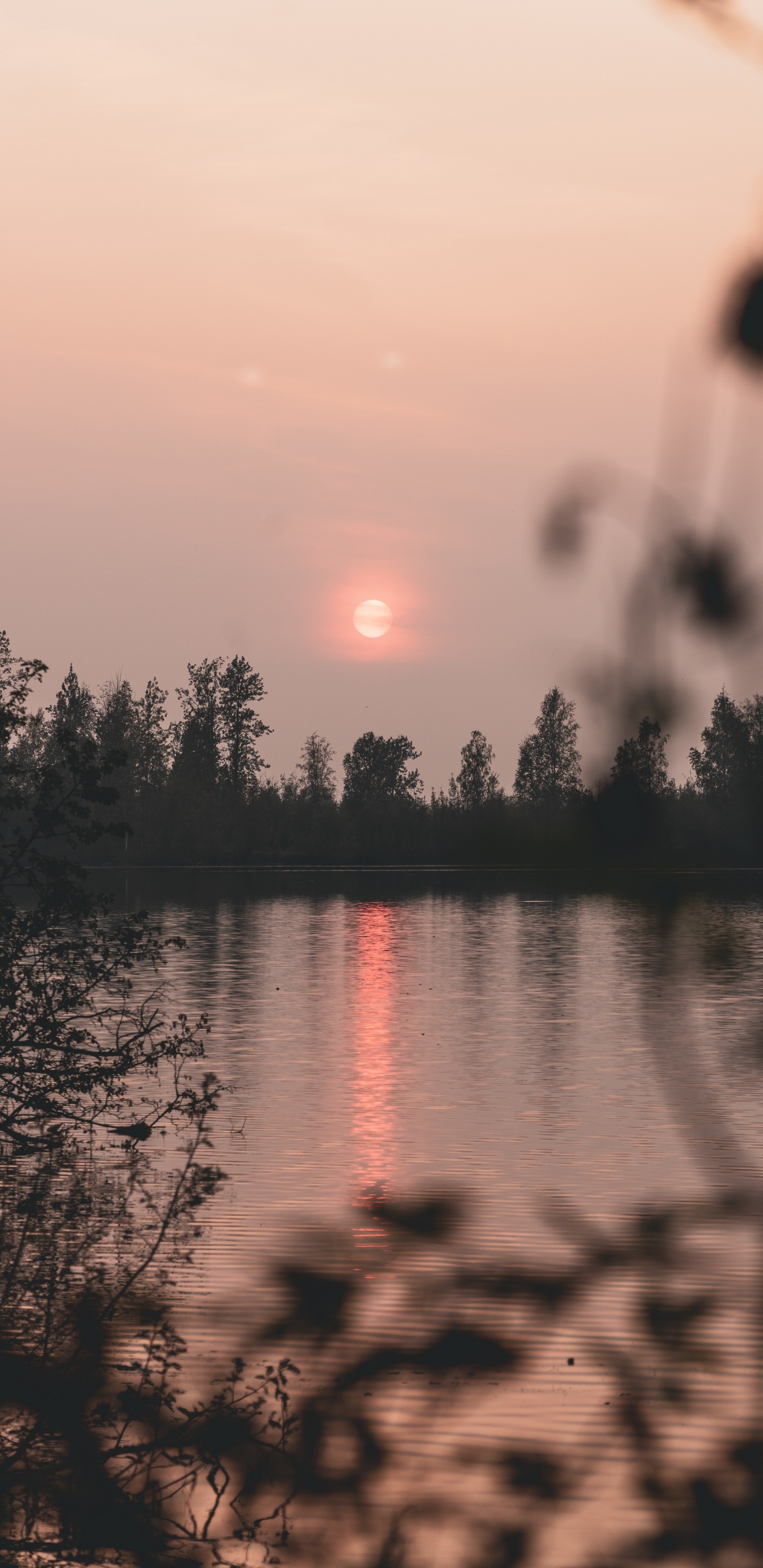 Naturaleza, Reflexión, Agua, Mañana, Rojo. Wallpaper in 1440x2960 Resolution