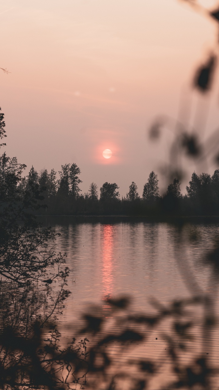 Nature, Réflexion, Eau, Lever, Matin. Wallpaper in 720x1280 Resolution