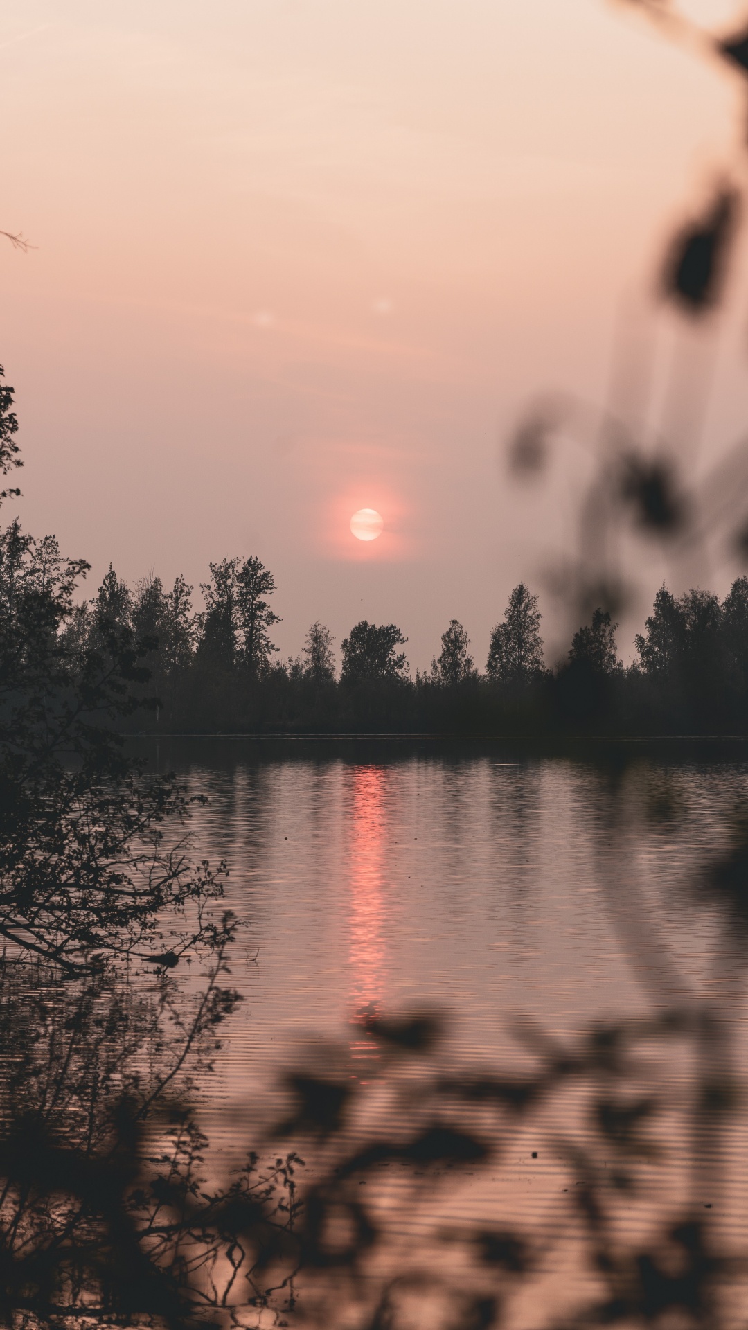 Nature, Reflection, Water, Tree, Sunrise. Wallpaper in 1080x1920 Resolution