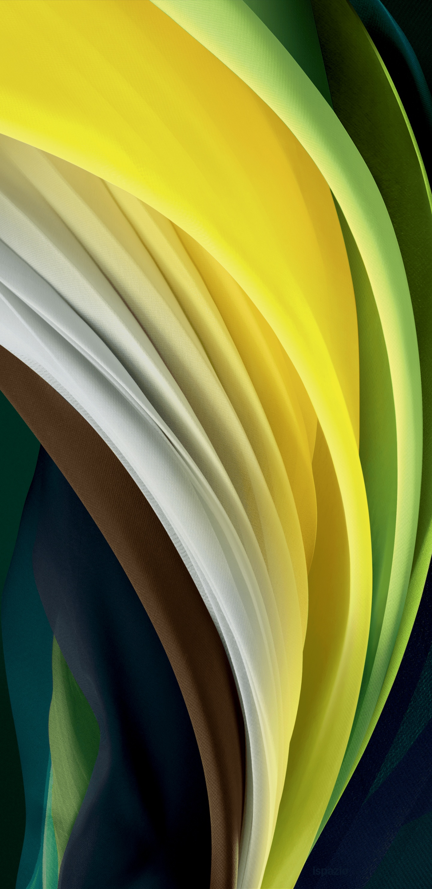 Apple, IPhone, IPhone SE 2020, Äpfeln, Smartphone. Wallpaper in 1440x2960 Resolution