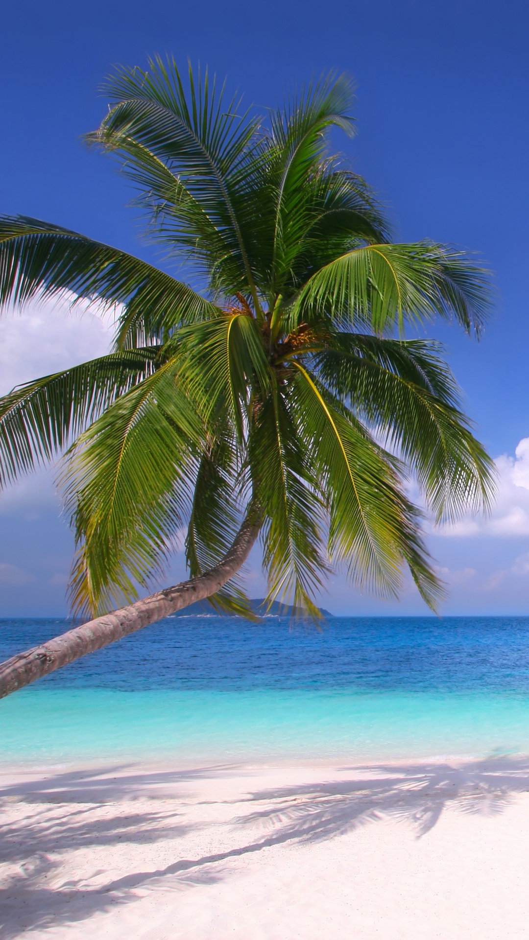 Green Palm Tree on White Sand Beach During Daytime. Wallpaper in 1080x1920 Resolution
